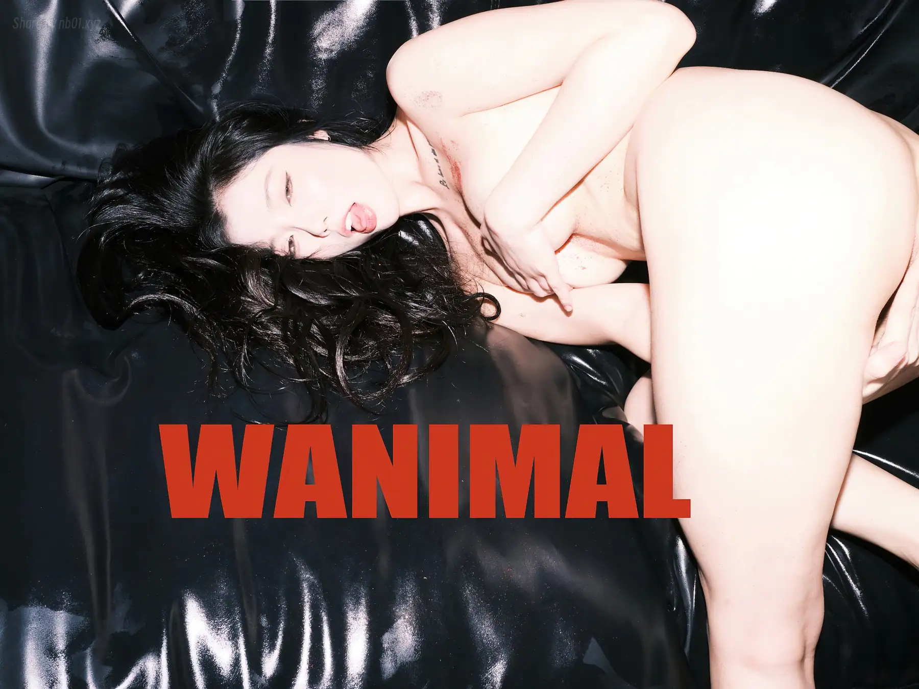 桃良阿宅 - 王动作品(63P_113.4M) - 桃良阿宅 - 王动作品(63P_113