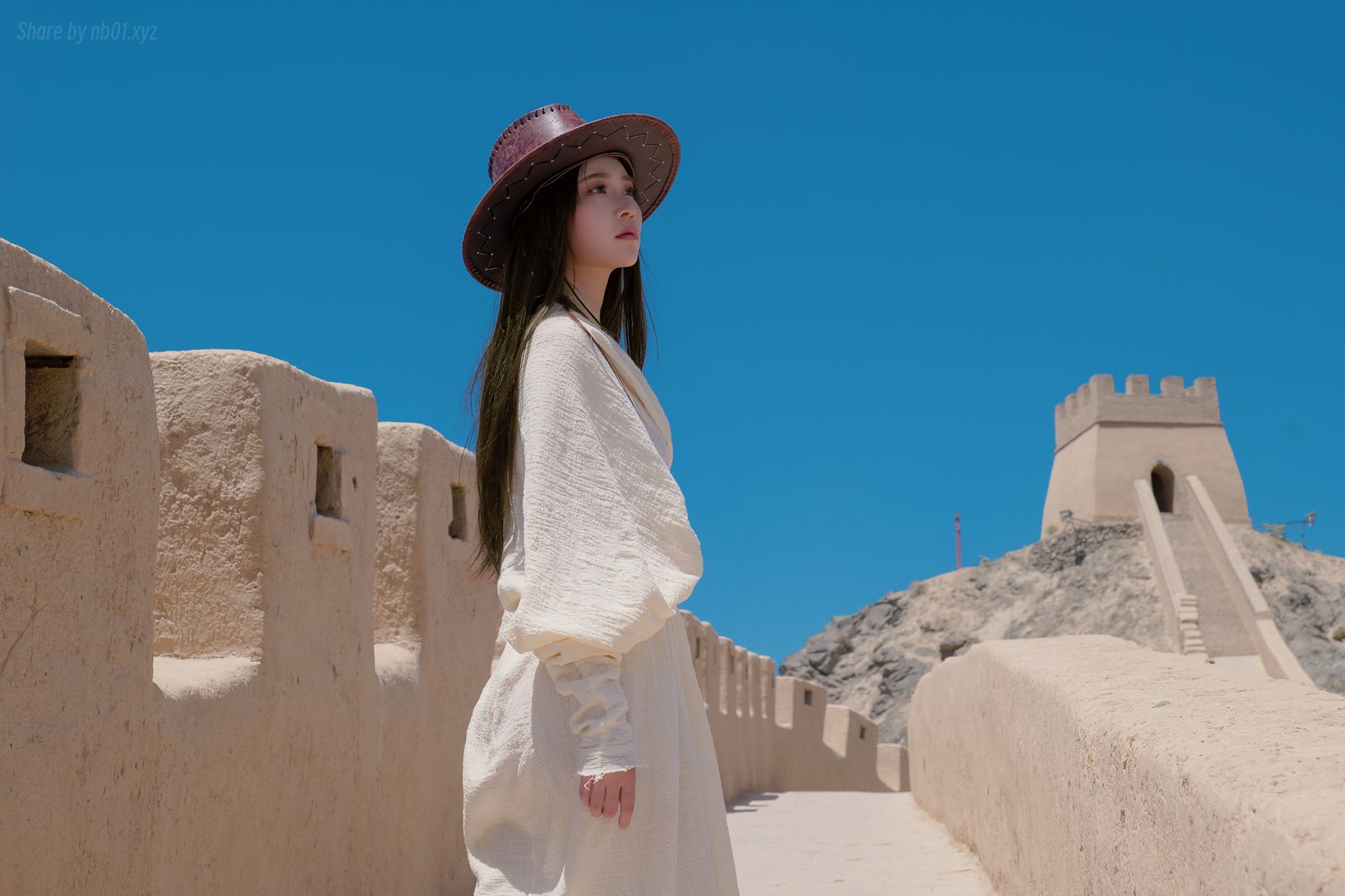 年年Nnian - 城(46P_324.6M) - 年年Nnian - 城(46P_324