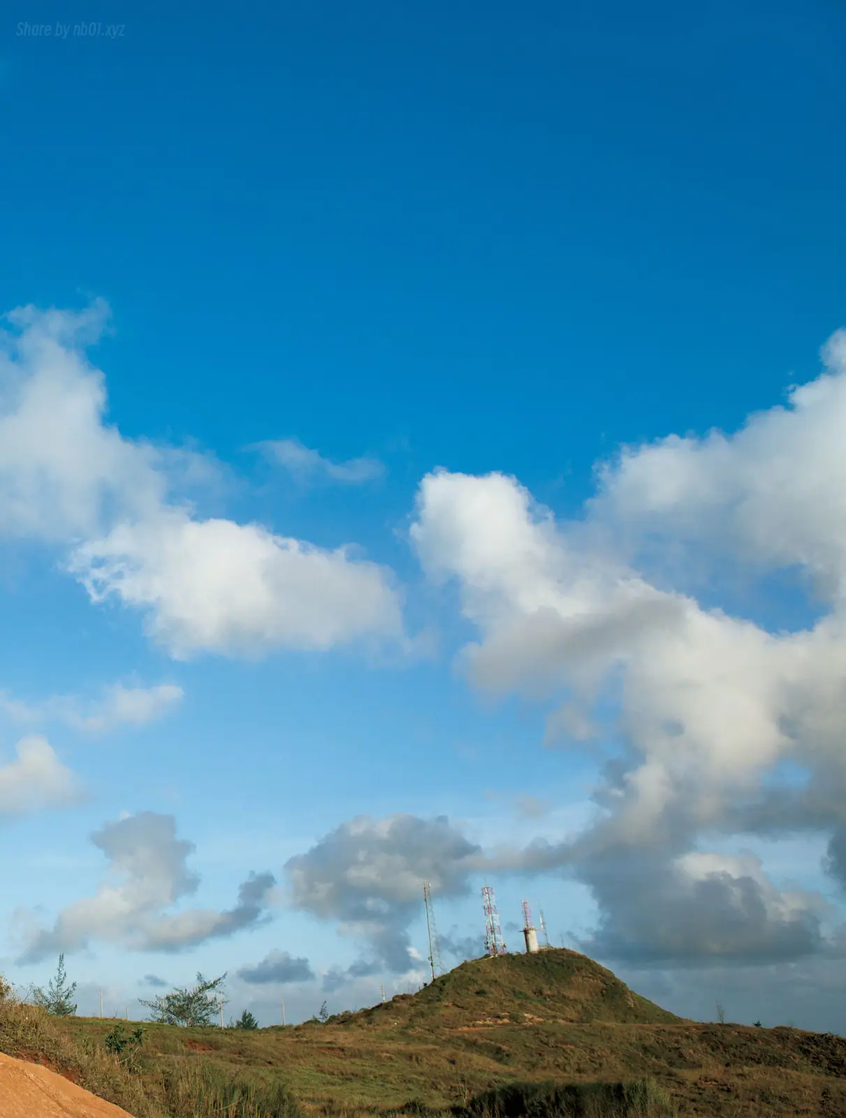 Takahashi Shoko(高橋しょう子) - Takasho たかしょー(135P_61.5M) - Takahashi Shoko(高橋しょう子) - Takasho たかしょー(135P_61