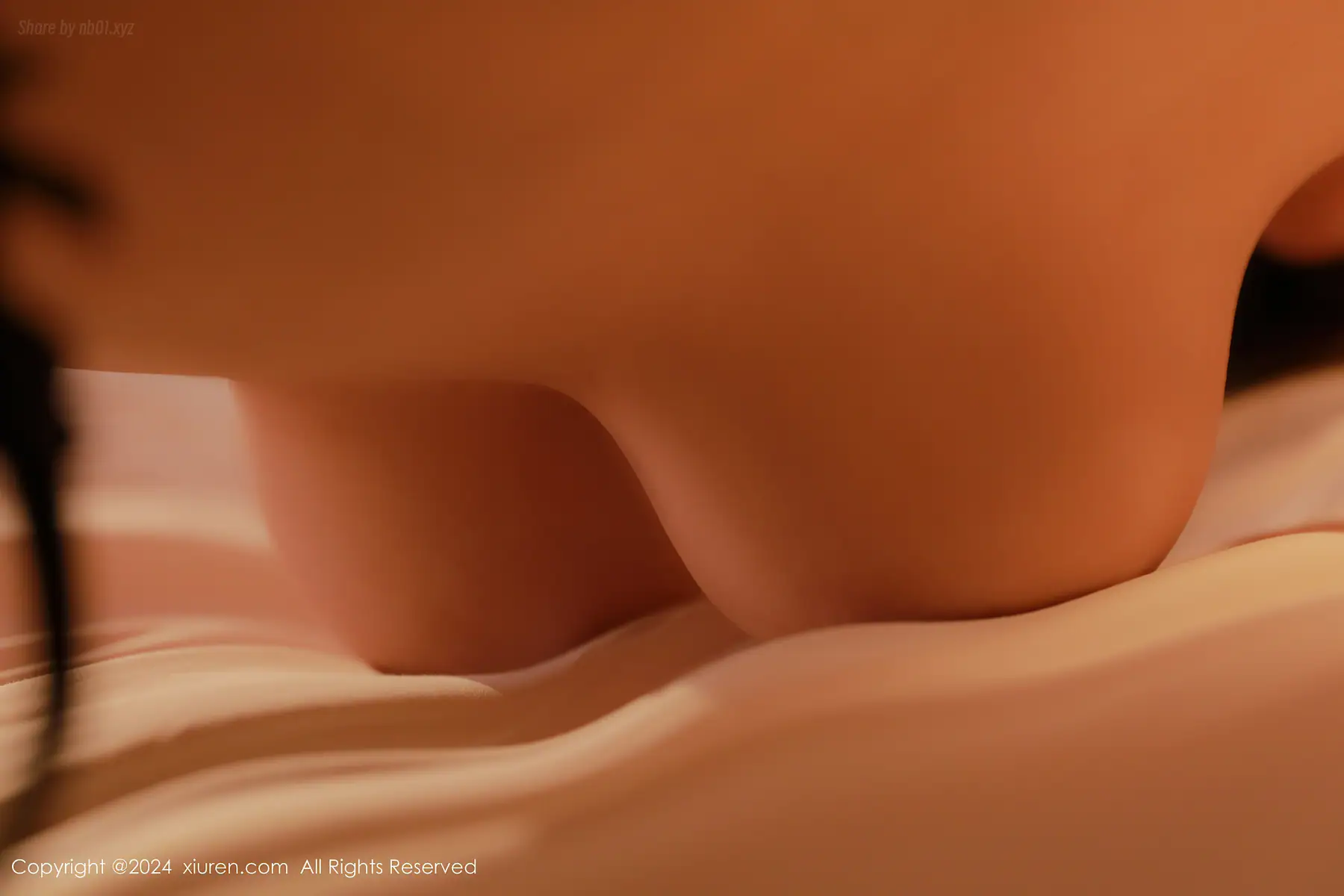 XIUREN No.8529 李若汐(92P_368.9M) - XIUREN No