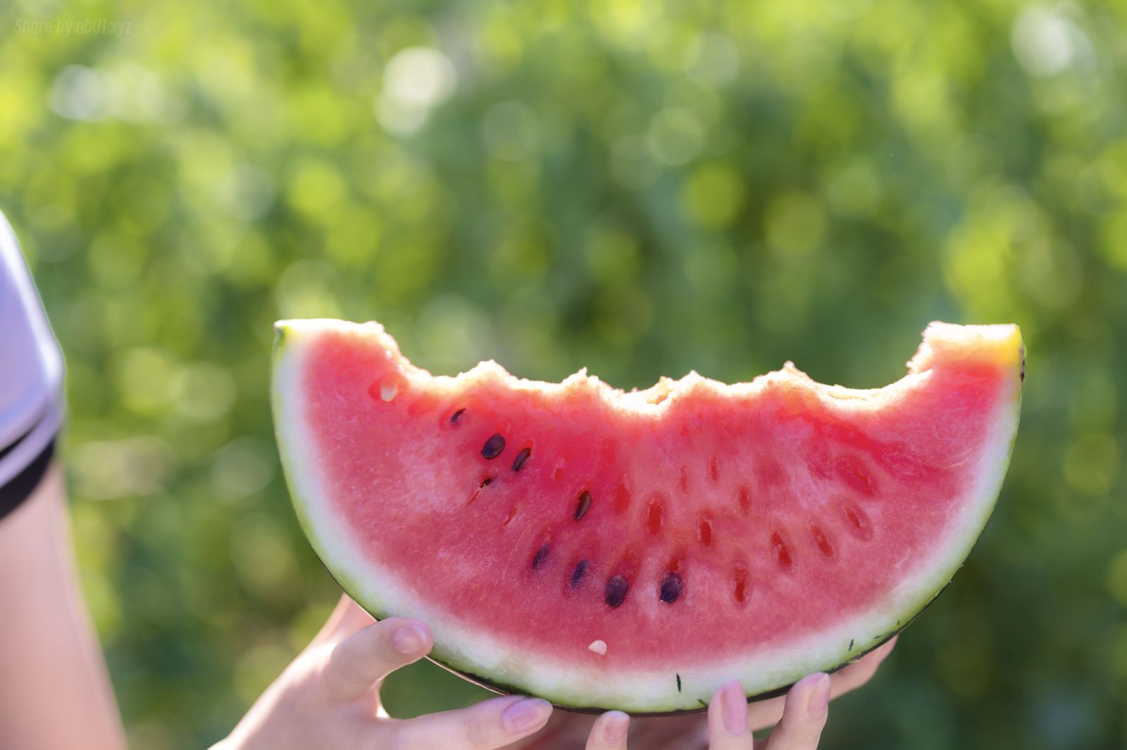 Mainemu(毎眠かのん) - 夏恋模様(191P_288.4M) - Mainemu(毎眠かのん) - 夏恋模様(191P_288