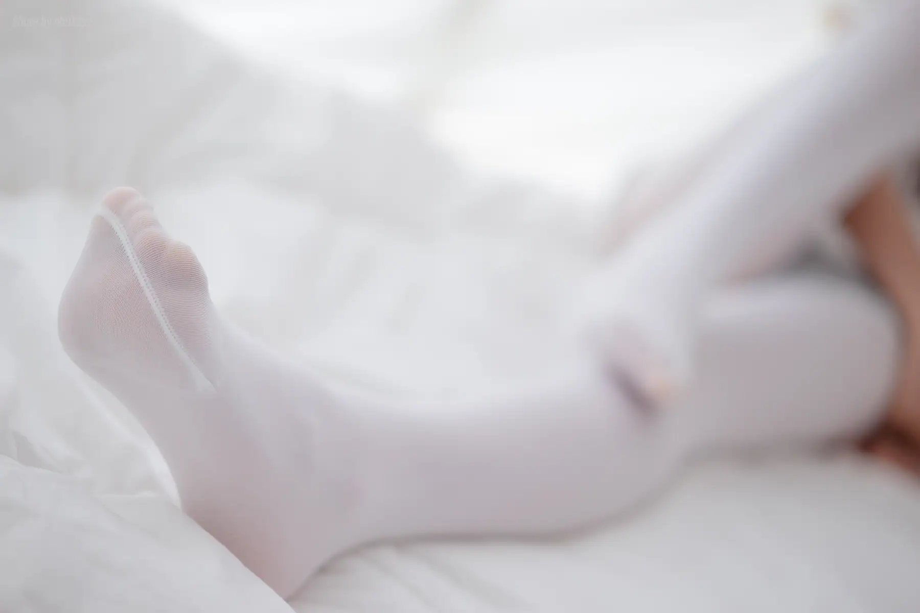 喵写真 - VOL.011 白丝萝莉(90P_241.8M) - 喵写真 - VOL