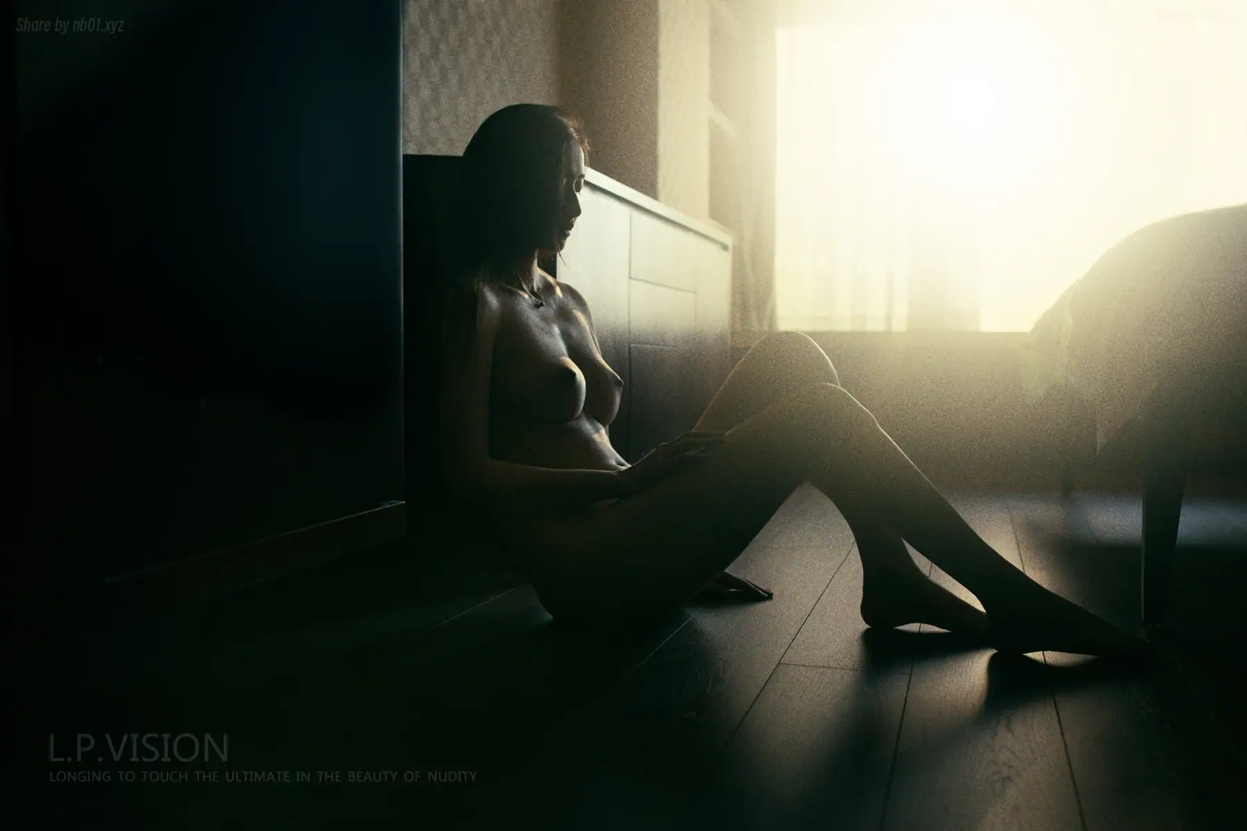 L.P.VISION Photography - 摄影大神  尺度艺术人体写真14套合集(679P+5V_2.0G) - L