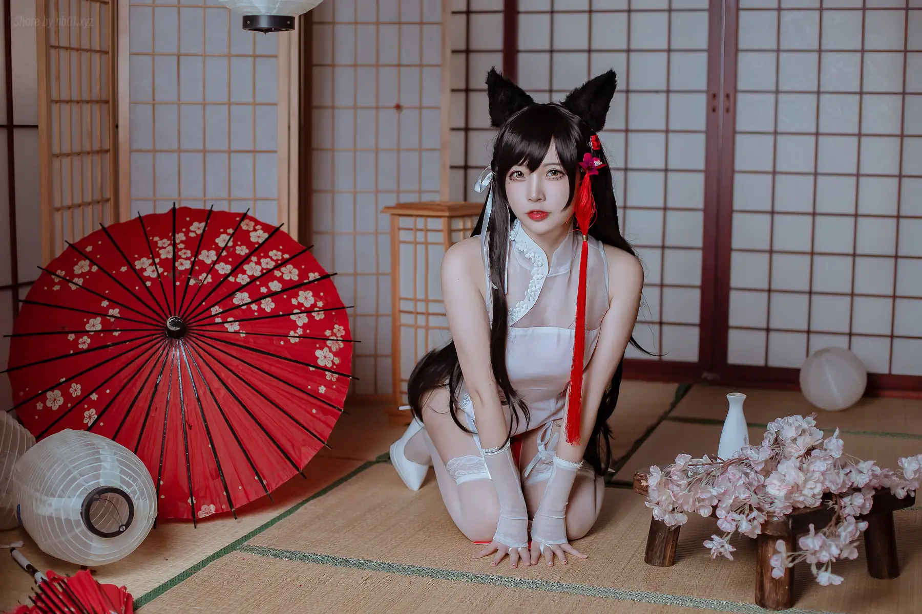 二佐Nisa - 犬之眷 碧蓝航线 爱宕 旗袍(18P_51.8M) - 二佐Nisa - 犬之眷 碧蓝航线 爱宕 旗袍(18P_51