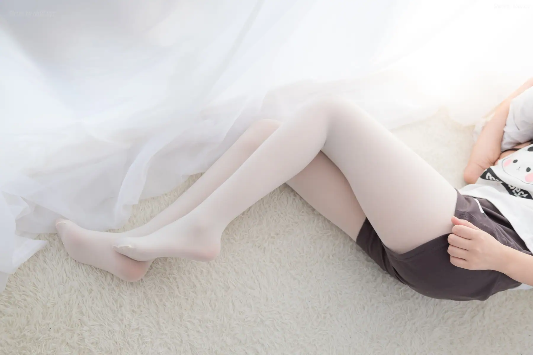 喵写真 - VOL.008 可爱小猫咪(63P_219.9M) - 喵写真 - VOL