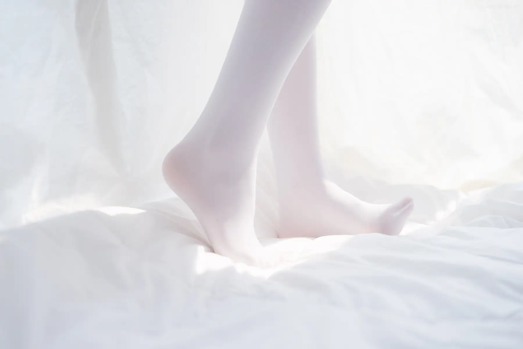 喵写真 - VOL.011 白丝萝莉(90P_241.8M) - 喵写真 - VOL