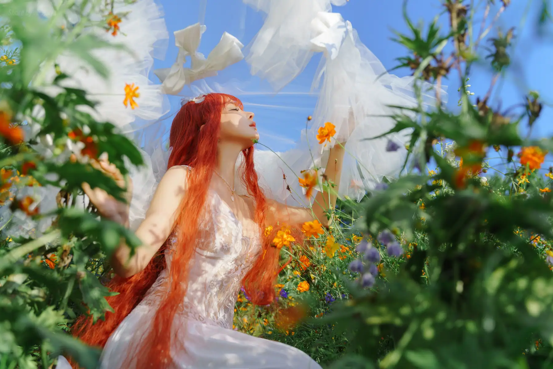 蠢沫沫 - 花丛婚纱(67P_286.5M) - 蠢沫沫 - 花丛婚纱(67P_286