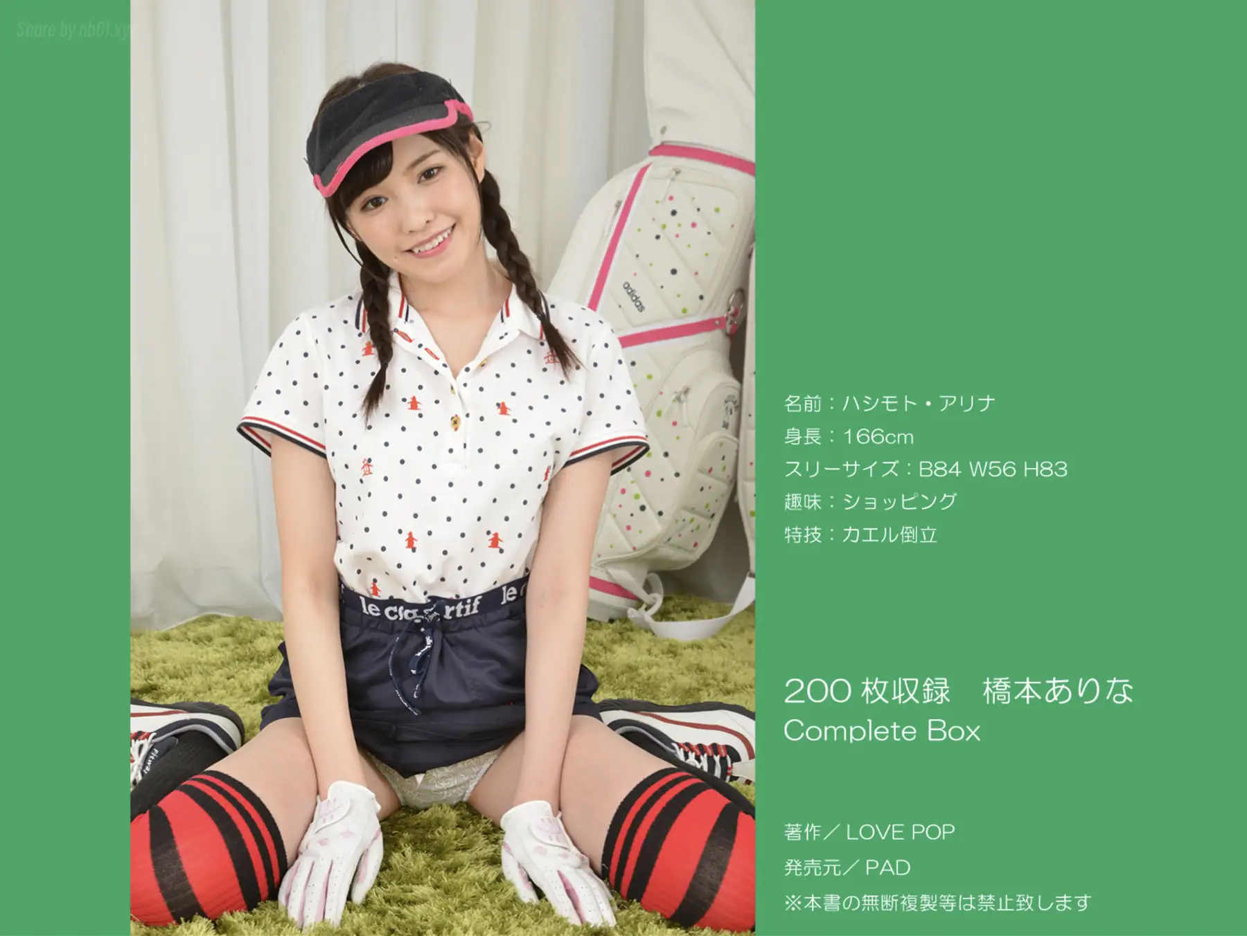 Arina Hashimoto(新ありな) - Complete Box（ラビリンス）(140P_488.7M) - Arina Hashimoto(新ありな) - Complete Box（ラビリンス）(140P_488