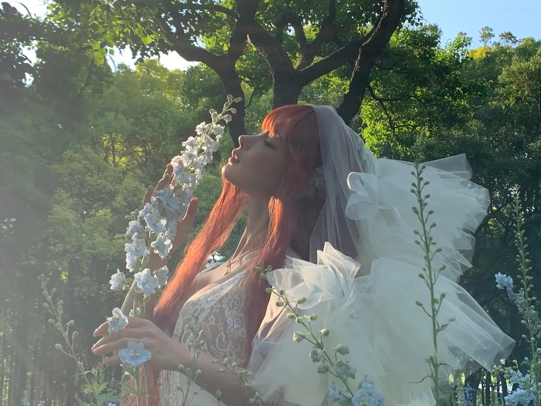 蠢沫沫 - 花丛婚纱(67P_286.5M) - 蠢沫沫 - 花丛婚纱(67P_286