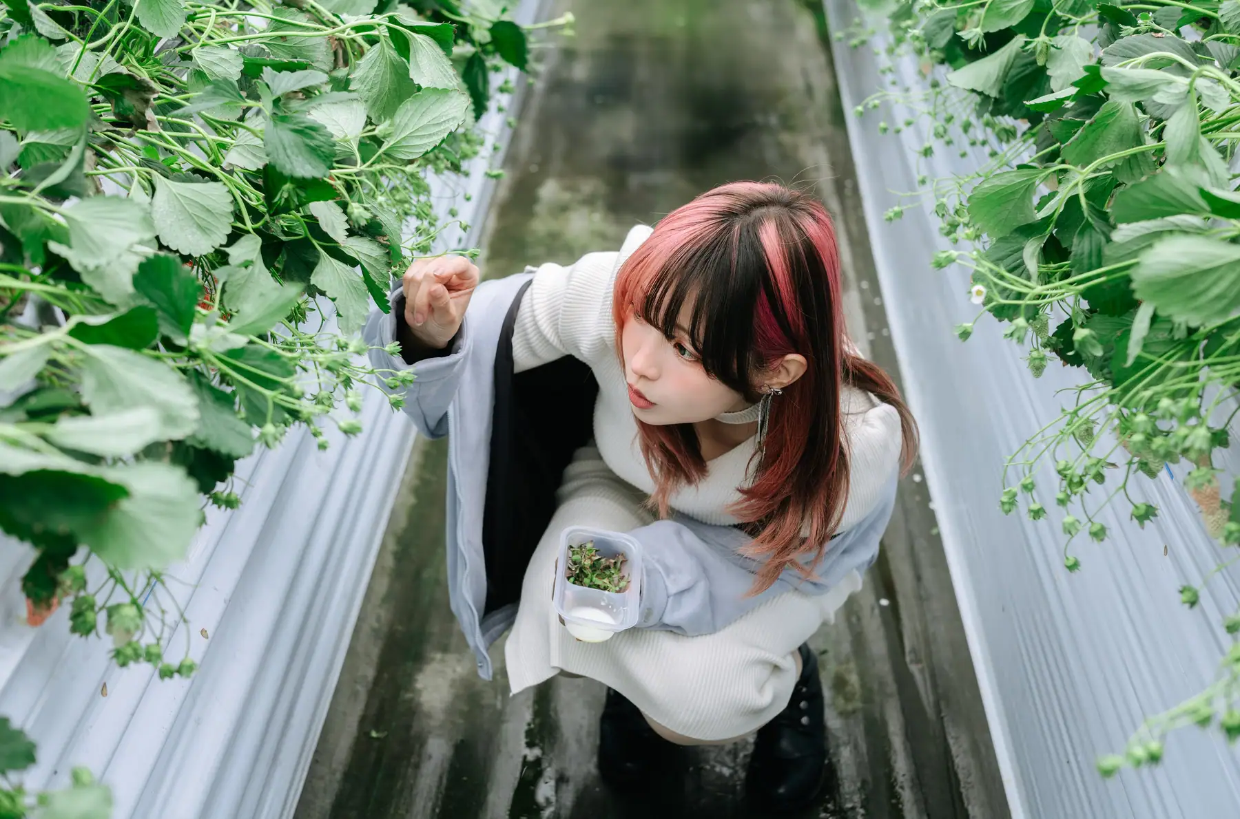 Ely_eee(ElyEE子) - Strawberry Picking Date(34P+2V_114.4M) - Ely_eee(ElyEE子) - Strawberry Picking Date(34P+2V_114