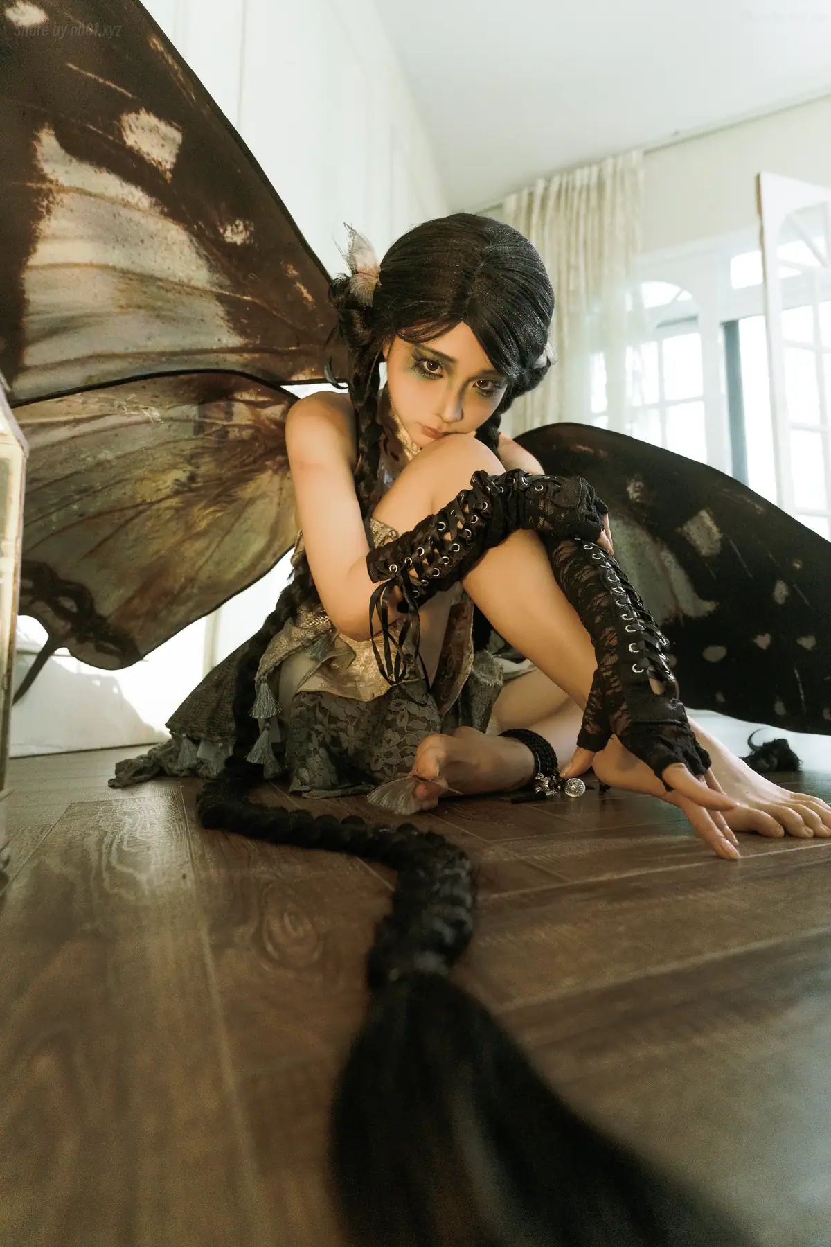 蠢沫沫 - 枯叶蝶(58P_308.7M) - 蠢沫沫 - 枯叶蝶(58P_308