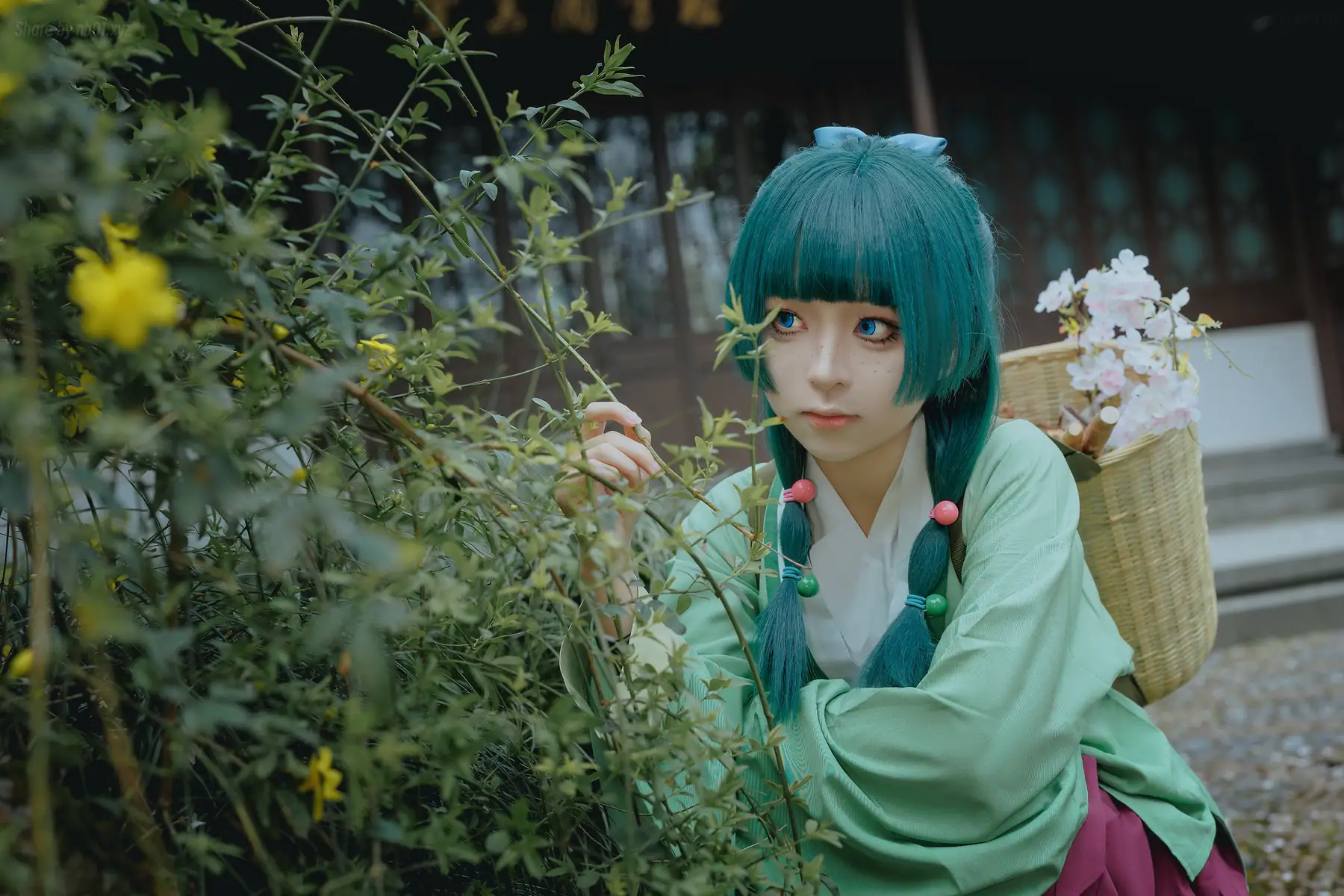 矢量鱼 - Maomao(52P_156.9M) - 矢量鱼 - Maomao(52P_156