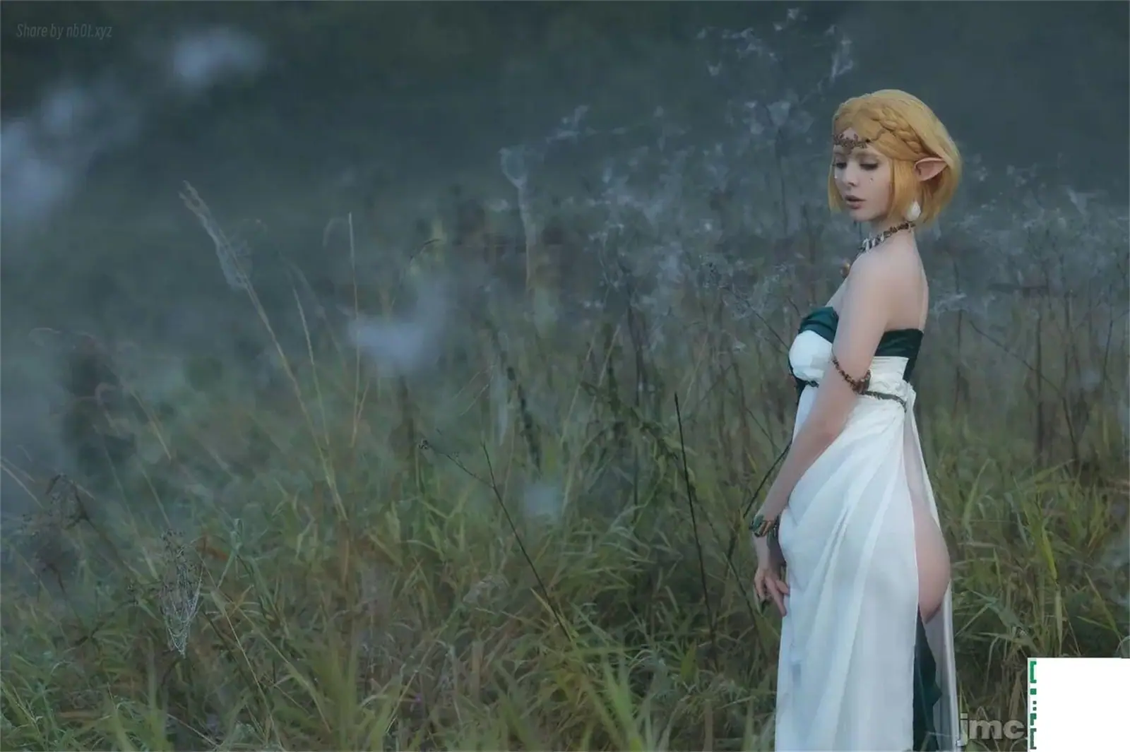 Vinnegal - Zelda(75P_35.7M) - Vinnegal - Zelda(75P_35