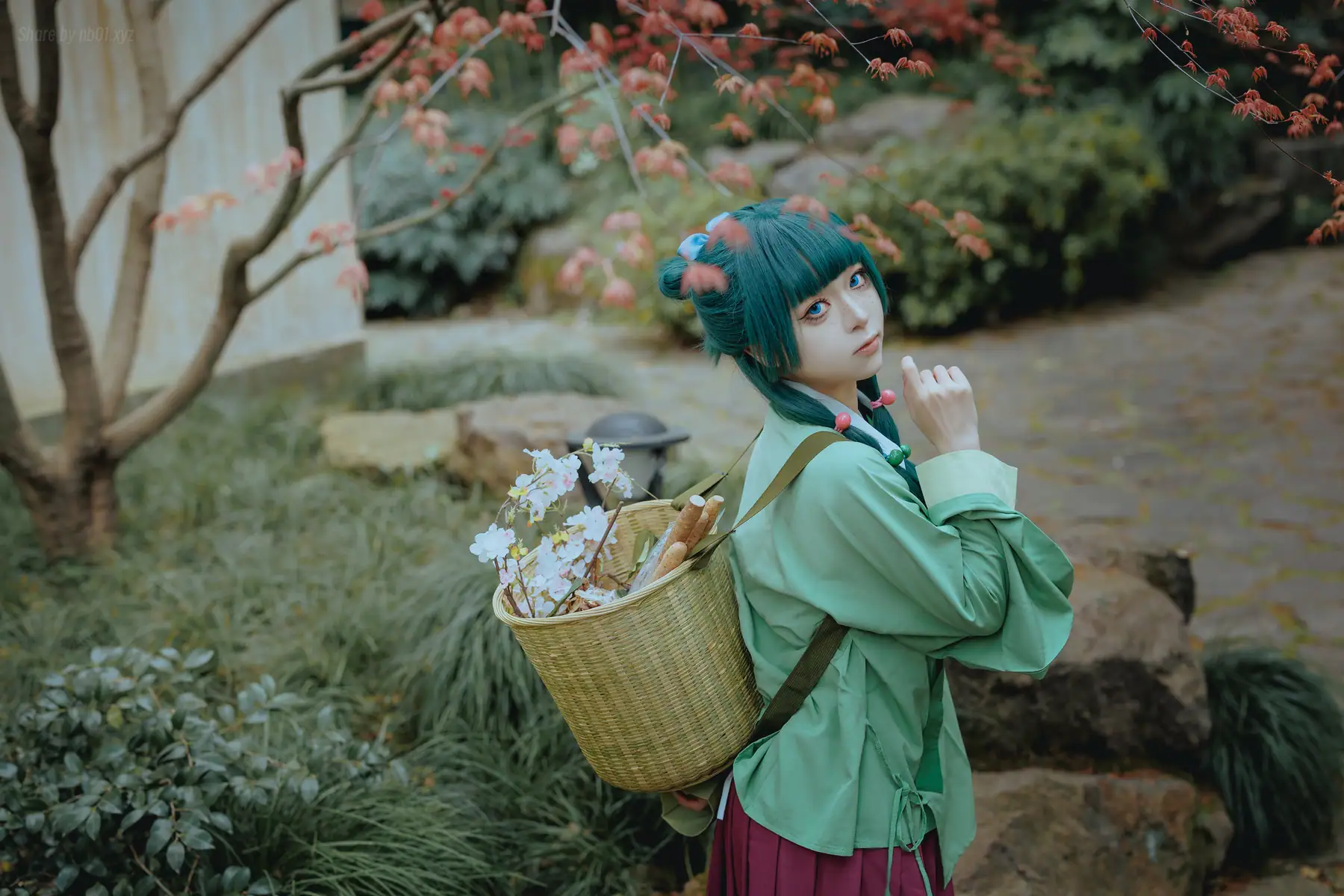 矢量鱼 - Maomao(52P_156.9M) - 矢量鱼 - Maomao(52P_156