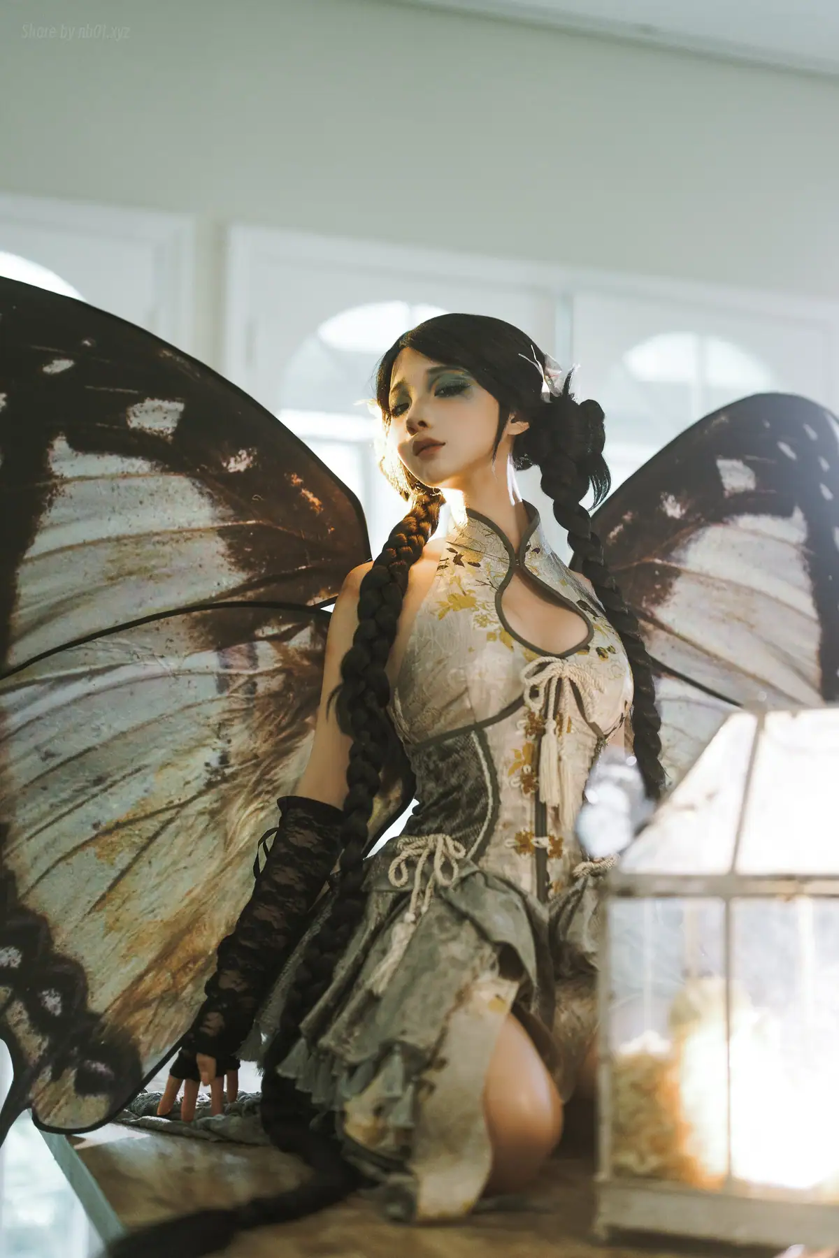 蠢沫沫 - 枯叶蝶(58P_308.7M) - 蠢沫沫 - 枯叶蝶(58P_308