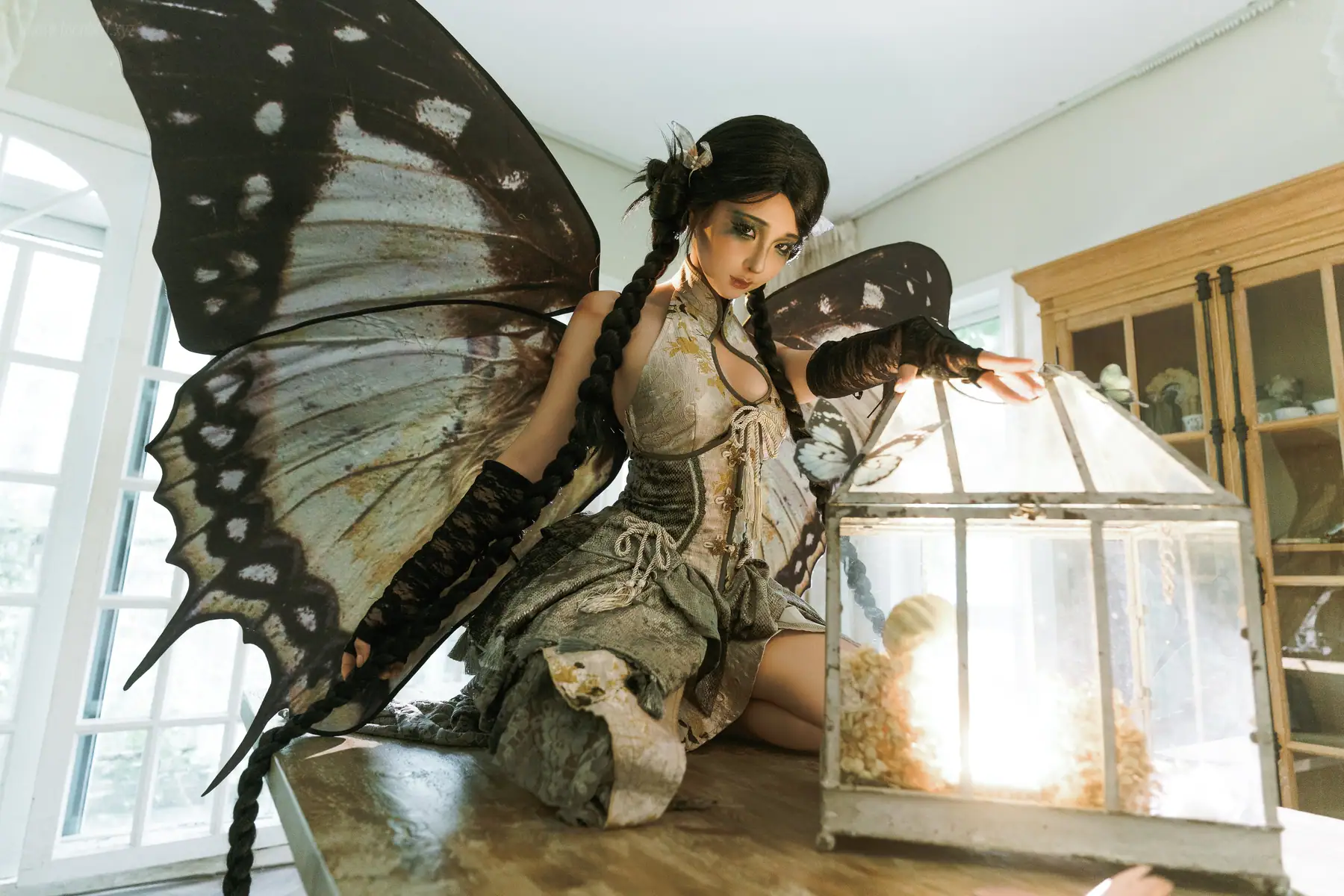 蠢沫沫 - 枯叶蝶(58P_308.7M) - 蠢沫沫 - 枯叶蝶(58P_308