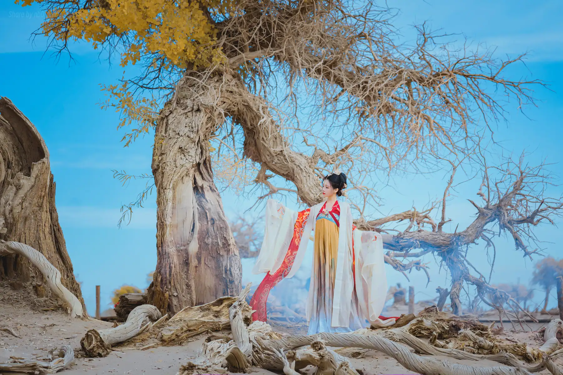 桜桃喵 - 惊鸿(15P_90.4M) - 桜桃喵 - 惊鸿(15P_90