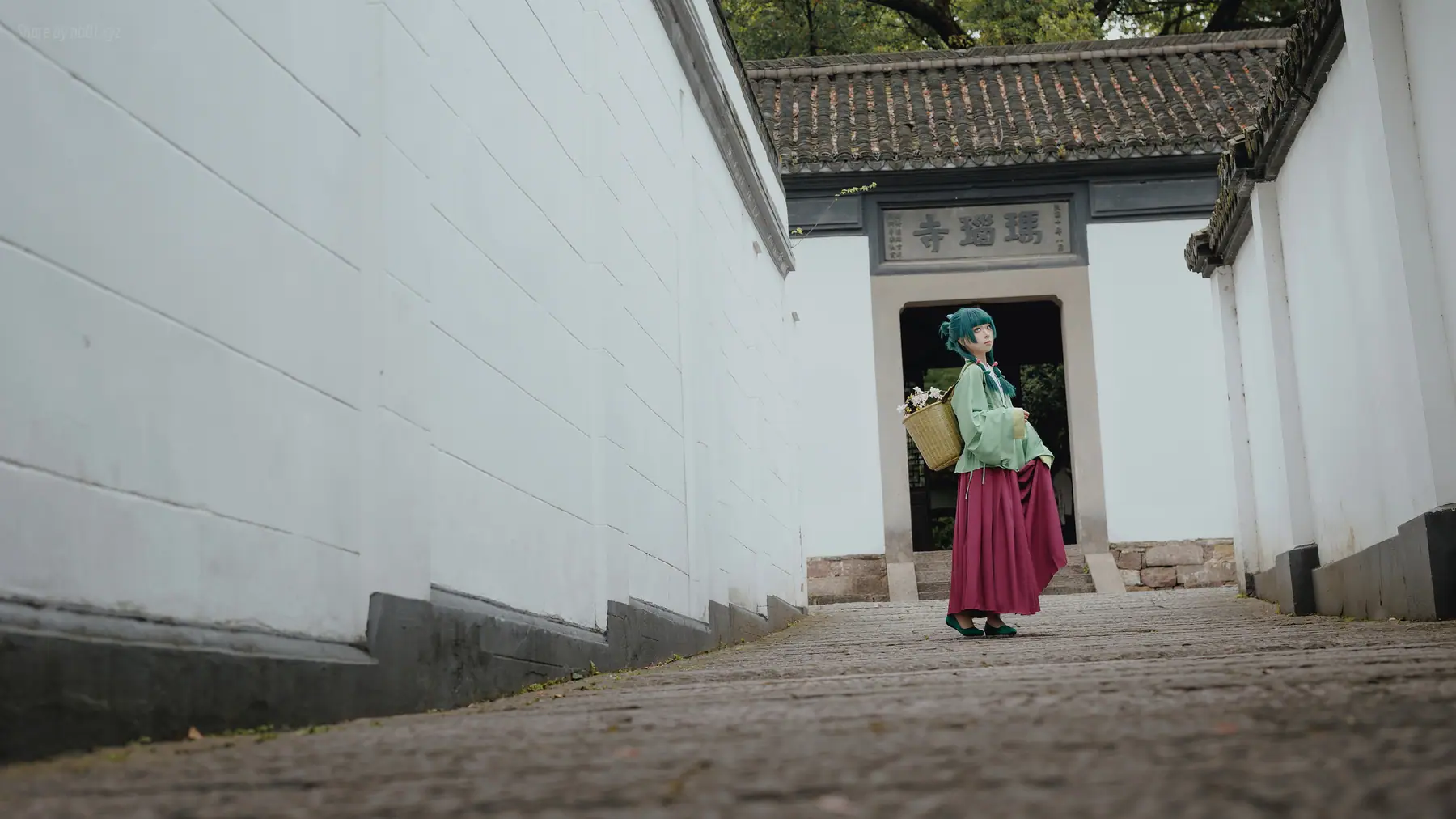 矢量鱼 - Maomao(52P_156.9M) - 矢量鱼 - Maomao(52P_156