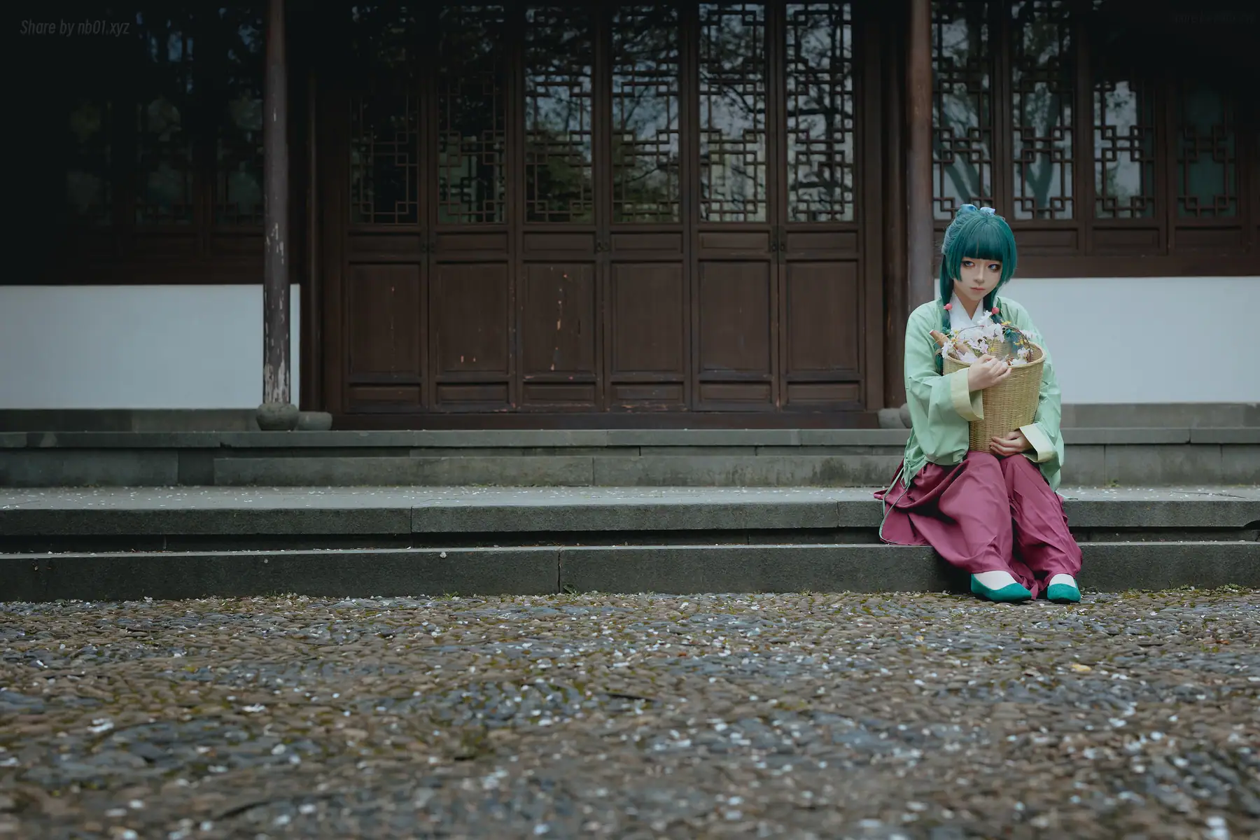 矢量鱼 - Maomao(52P_156.9M) - 矢量鱼 - Maomao(52P_156