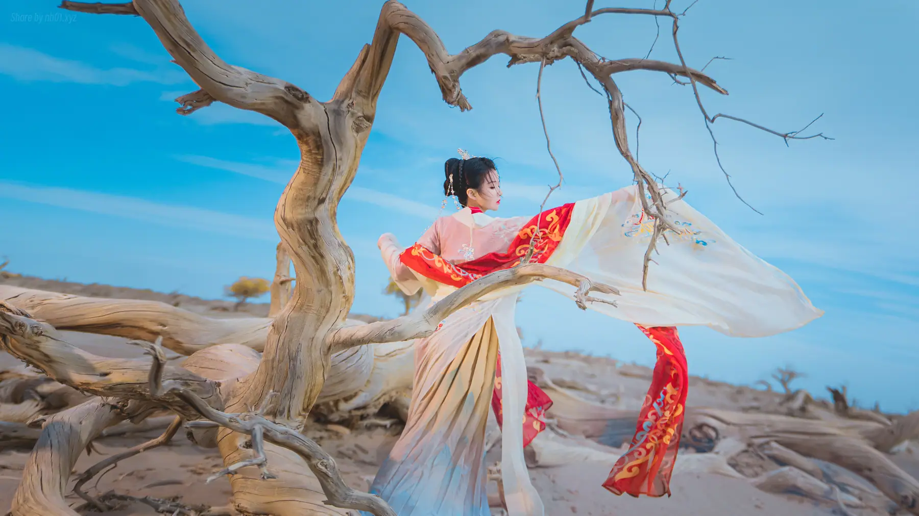 桜桃喵 - 惊鸿(15P_90.4M) - 桜桃喵 - 惊鸿(15P_90