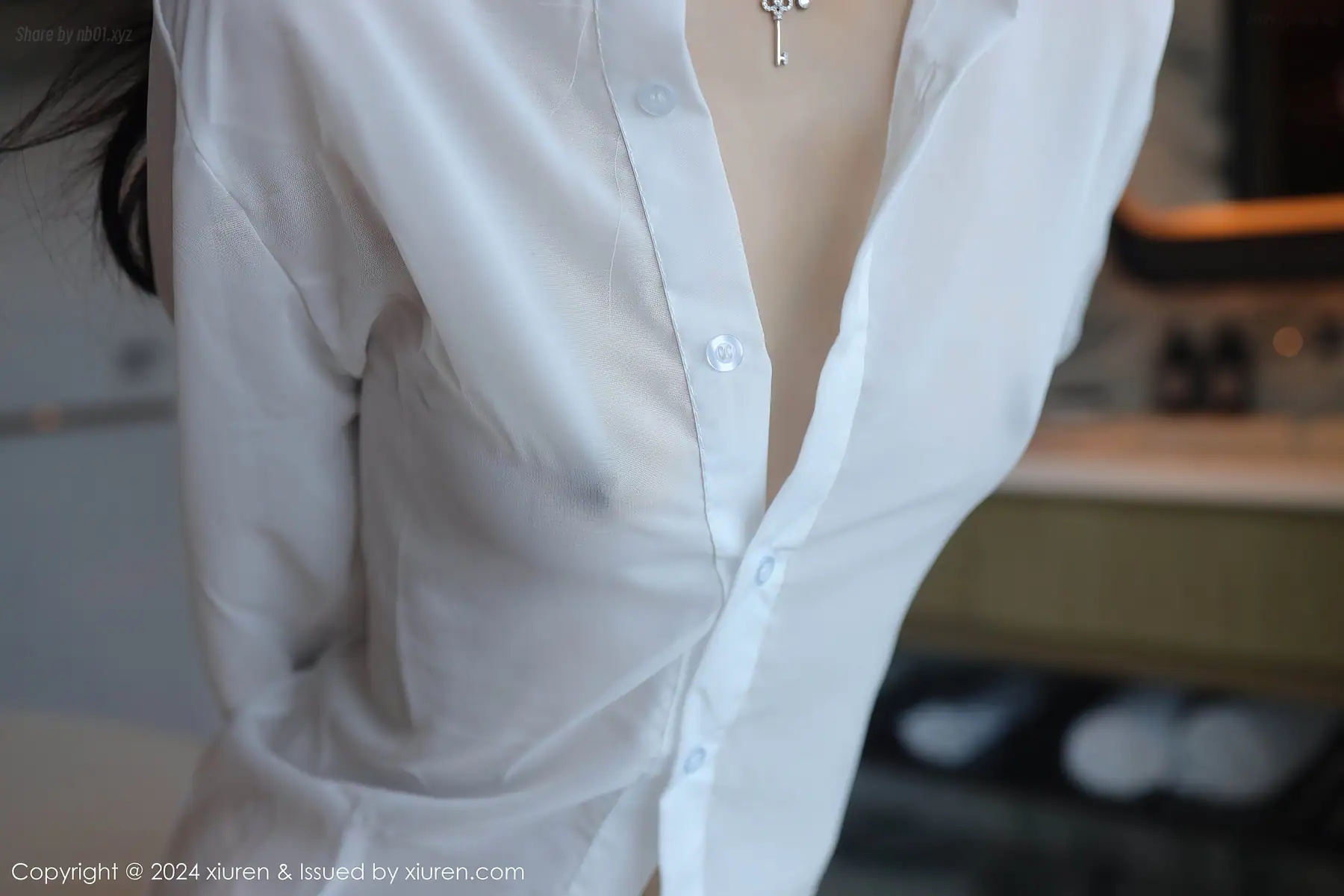 XIUREN No.9251 林好好(68P_63.2M) - XIUREN No