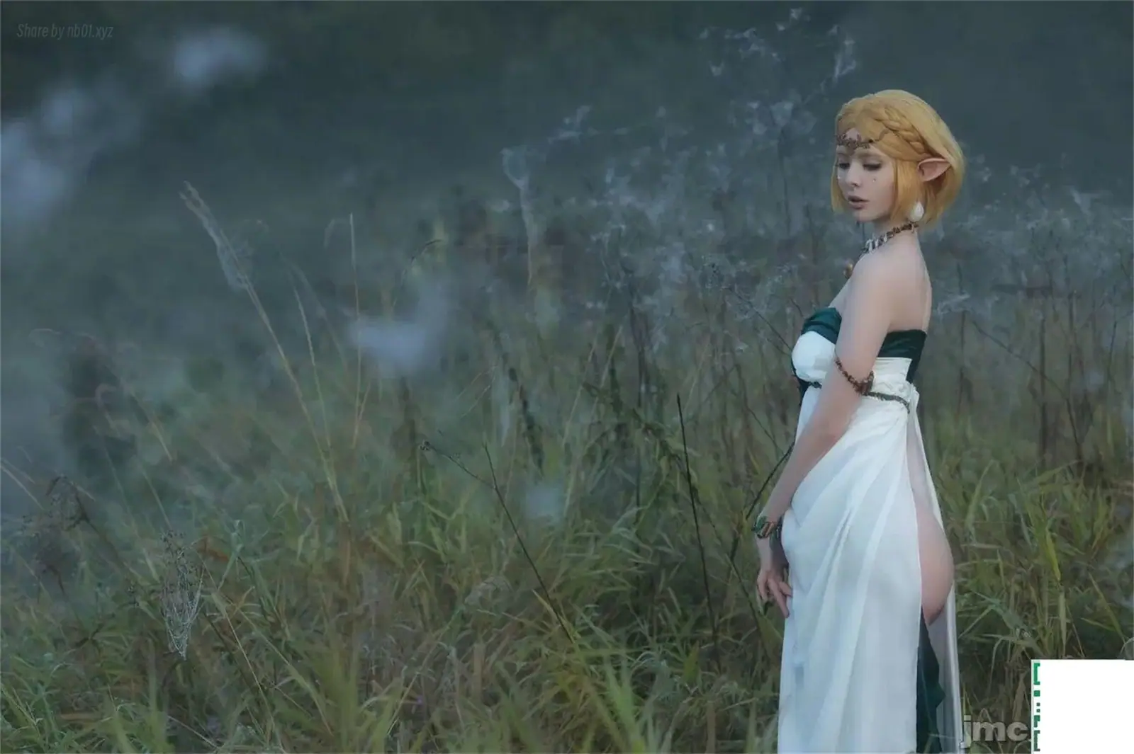 Vinnegal - Zelda(75P_35.7M) - Vinnegal - Zelda(75P_35