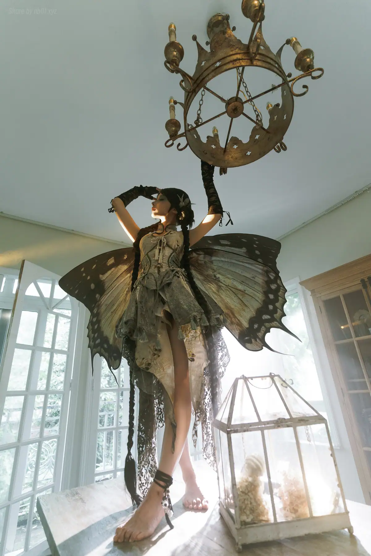 蠢沫沫 - 枯叶蝶(58P_308.7M) - 蠢沫沫 - 枯叶蝶(58P_308