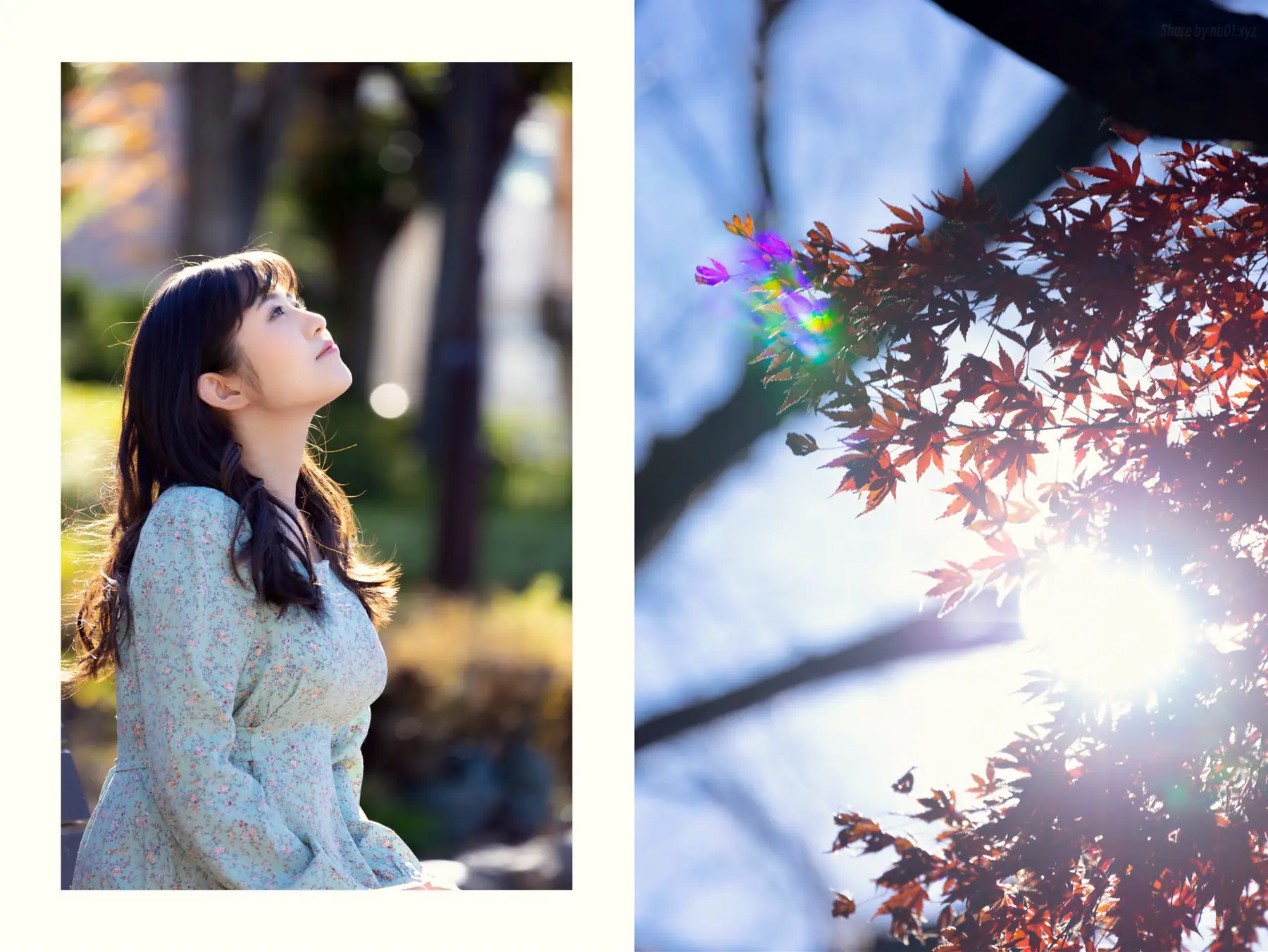 Maya Kikuchi(菊池まや) - グラビア写真集 『君の視線に焦がされて』(22P_93.6M) - Maya Kikuchi(菊池まや) - グラビア写真集 『君の視線に焦がされて』(22P_93