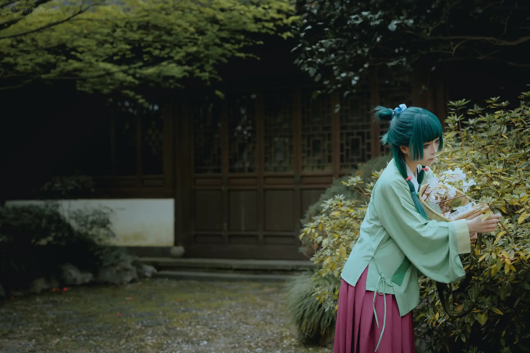 矢量鱼 - Maomao(52P_156.9M) - 矢量鱼 - Maomao(52P_156