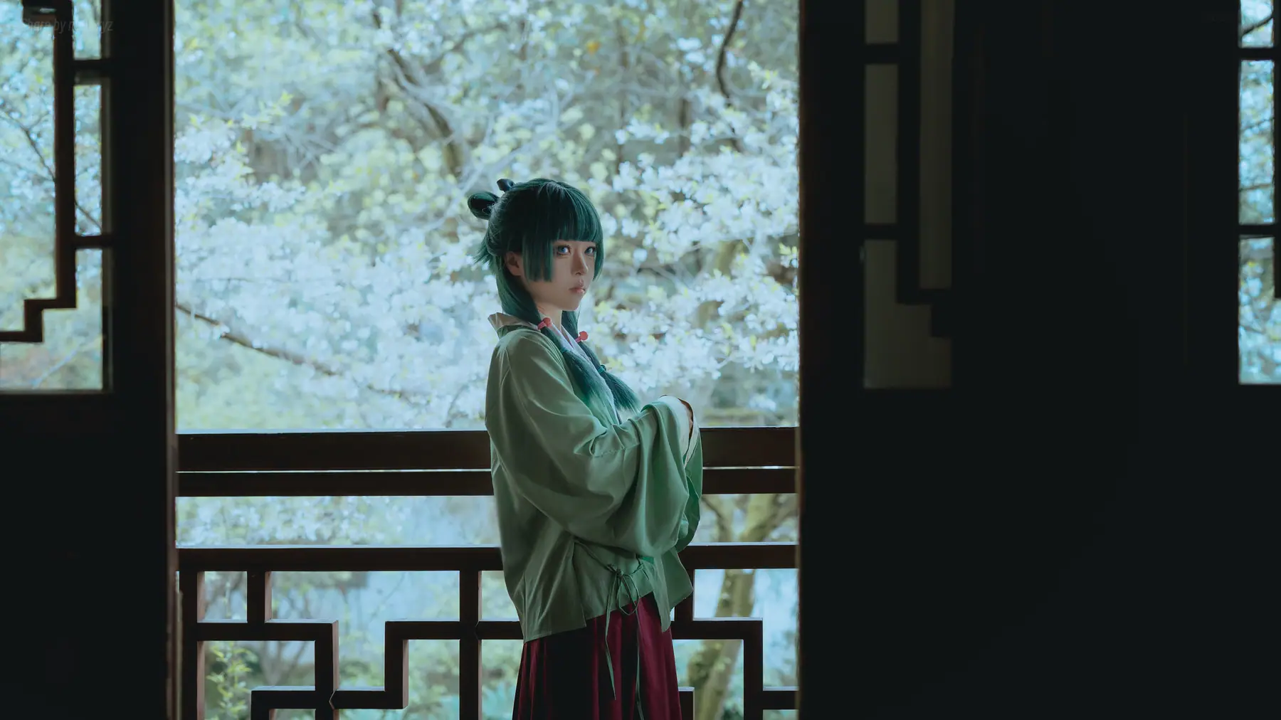 矢量鱼 - Maomao(52P_156.9M) - 矢量鱼 - Maomao(52P_156