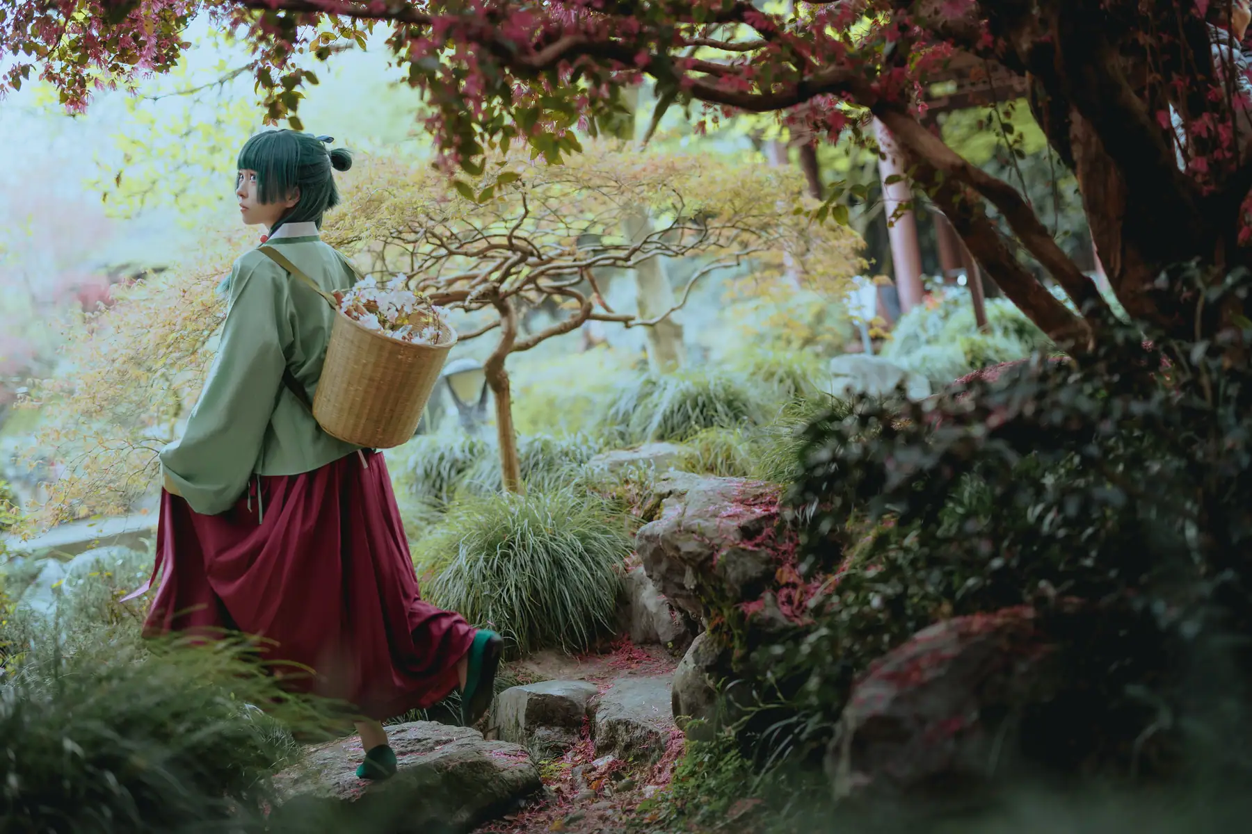 矢量鱼 - Maomao(52P_156.9M) - 矢量鱼 - Maomao(52P_156