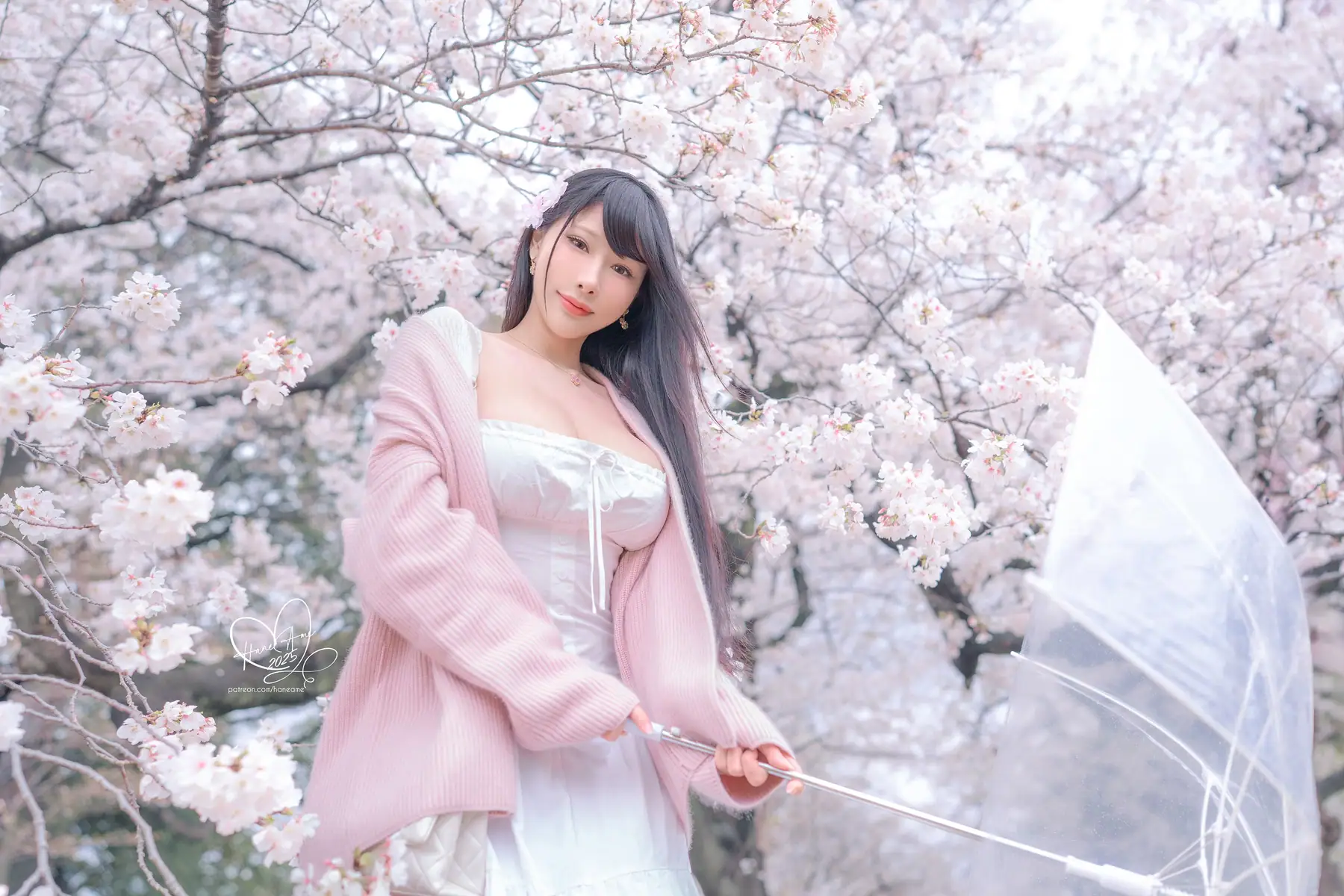 HaneAme - 2025-05月订阅_原创 雨樱下的约定(65P+4V_119.5M) - HaneAme - 2025-05月订阅_原创 雨樱下的约定(65P+4V_119