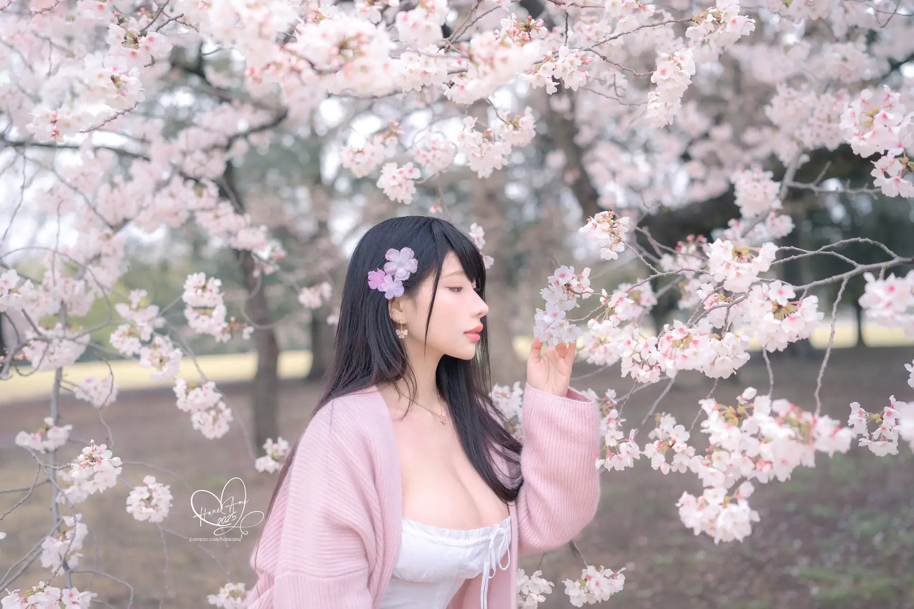 HaneAme - 2025-05月订阅_原创 雨樱下的约定(65P+4V_119.5M) - HaneAme - 2025-05月订阅_原创 雨樱下的约定(65P+4V_119