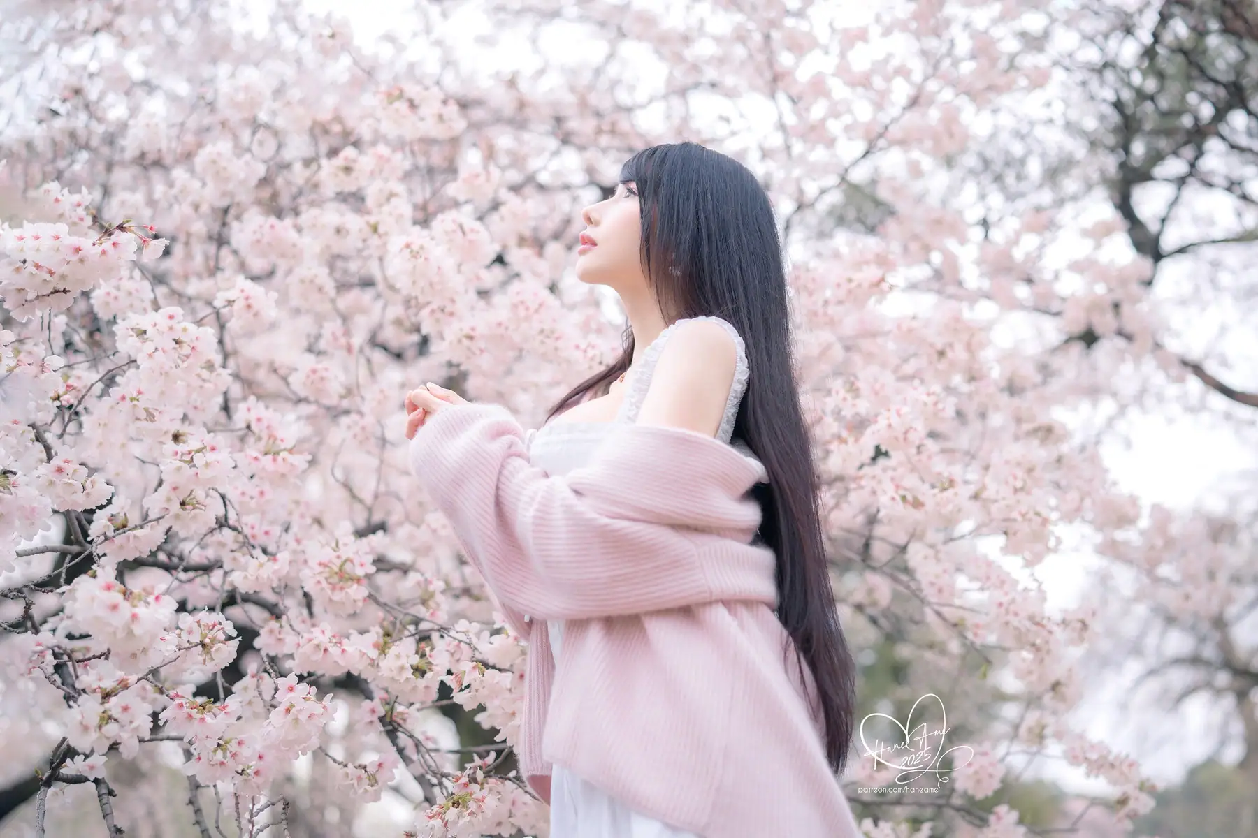 HaneAme - 2025-05月订阅_原创 雨樱下的约定(65P+4V_119.5M) - HaneAme - 2025-05月订阅_原创 雨樱下的约定(65P+4V_119