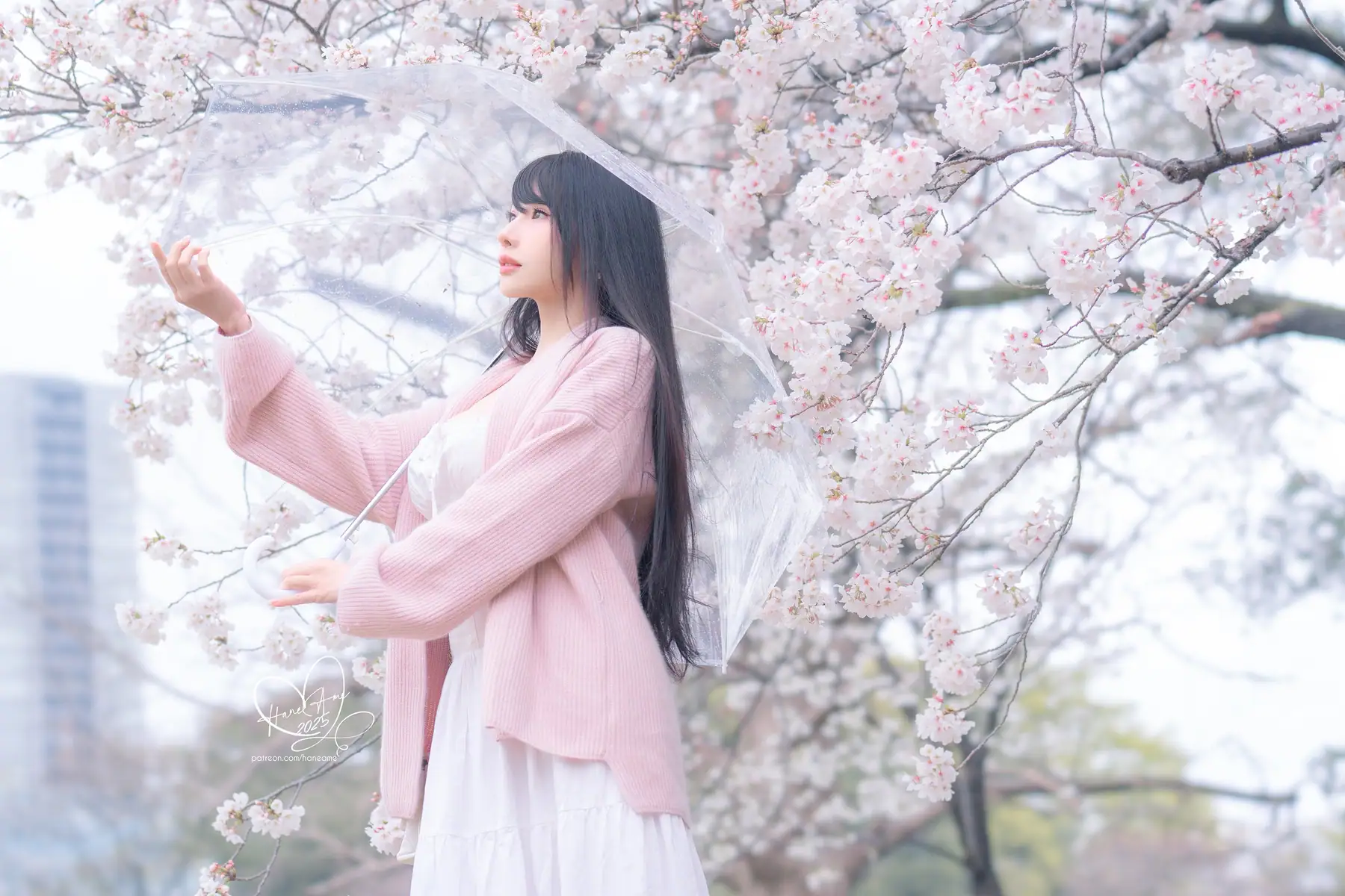 HaneAme - 2025-05月订阅_原创 雨樱下的约定(65P+4V_119.5M) - HaneAme - 2025-05月订阅_原创 雨樱下的约定(65P+4V_119