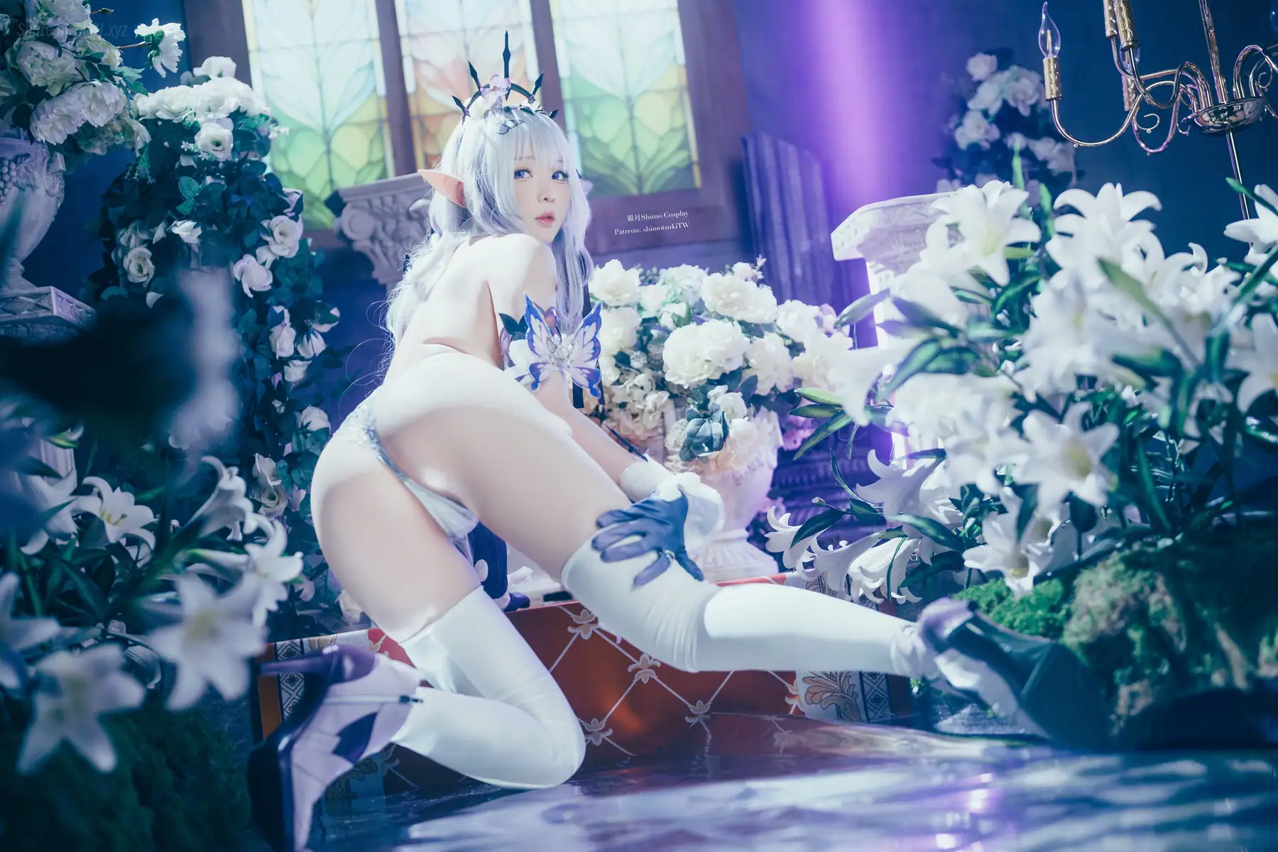 霜月shimo - Castorice(23P_99.8M) - 霜月shimo - Castorice(23P_99