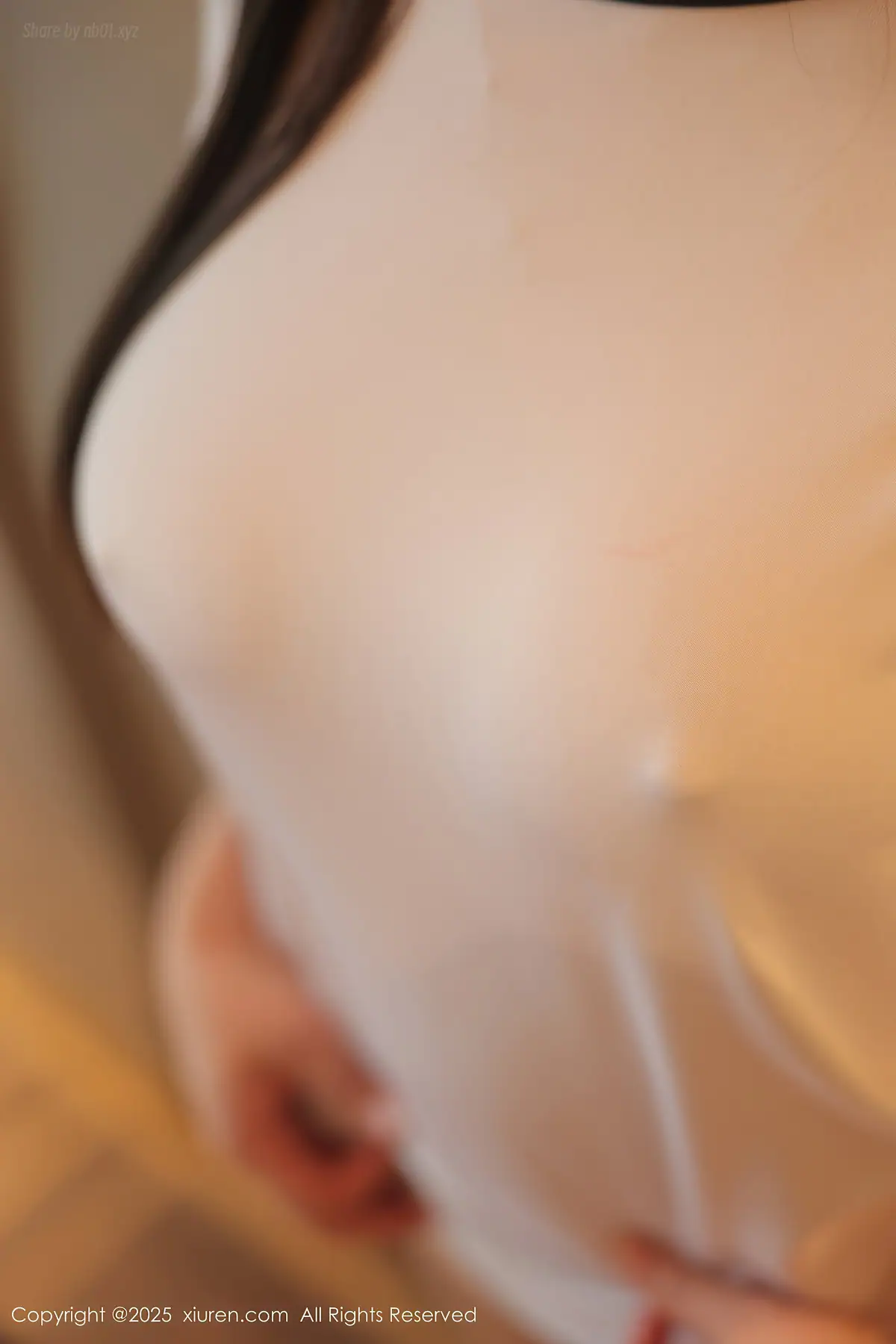 XIUREN No.9766 爱酱里(82P_79.3M) - XIUREN No