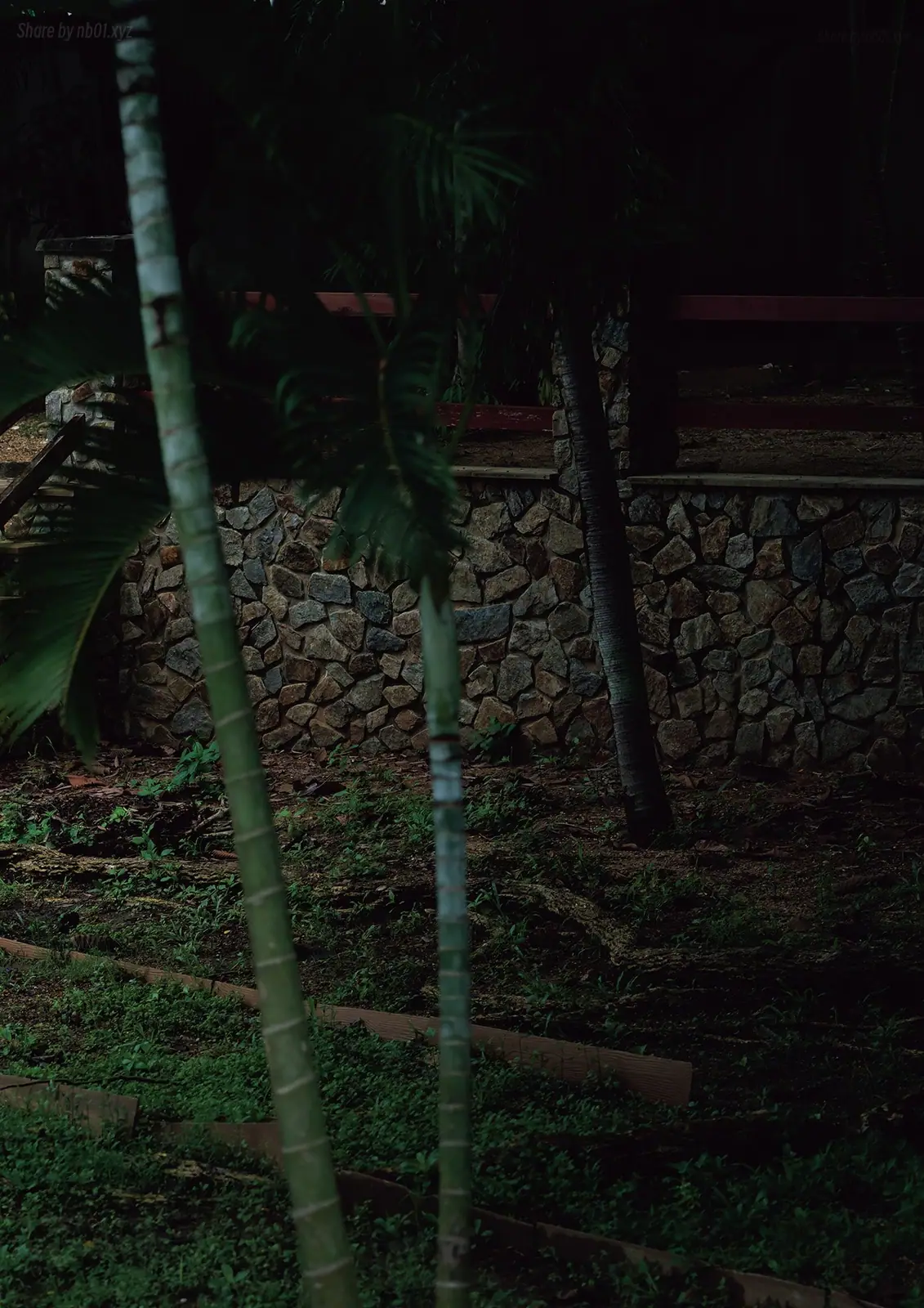 MINAMO - 写真集 愛の果実(130P_37.4M) - MINAMO - 写真集 愛の果実(130P_37