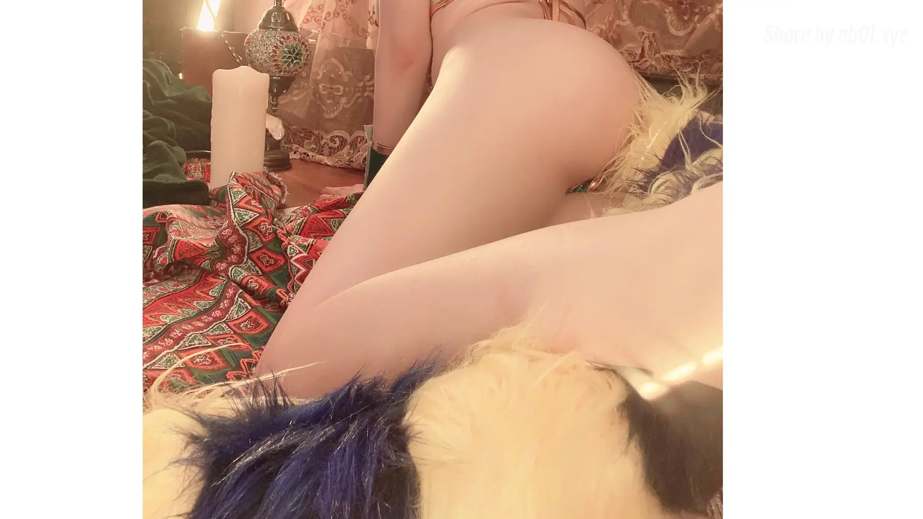 起司块wii - 埃及猫 56P 4V_120 1M 起司块wii - 埃及猫 56P 4V_120 1M _nb01 xyz_0040 图片7