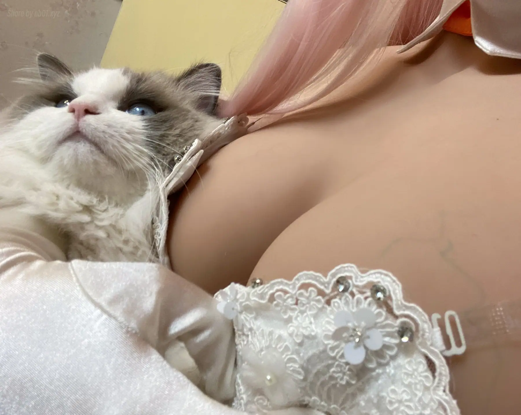 起司块wii - 自拍1 40P_39 0M 起司块wii - 自拍1 40P_39 0M _nb01 xyz_0001