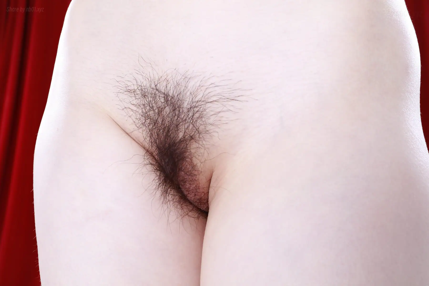 国模 - 阿歡 2022-02-19 大尺度 私拍 4K 653P_1 3G 国模 - 阿歡 2022-02-19 大尺度 私拍 4K 653P_1 3G _nb01 xyz_0653 图片8