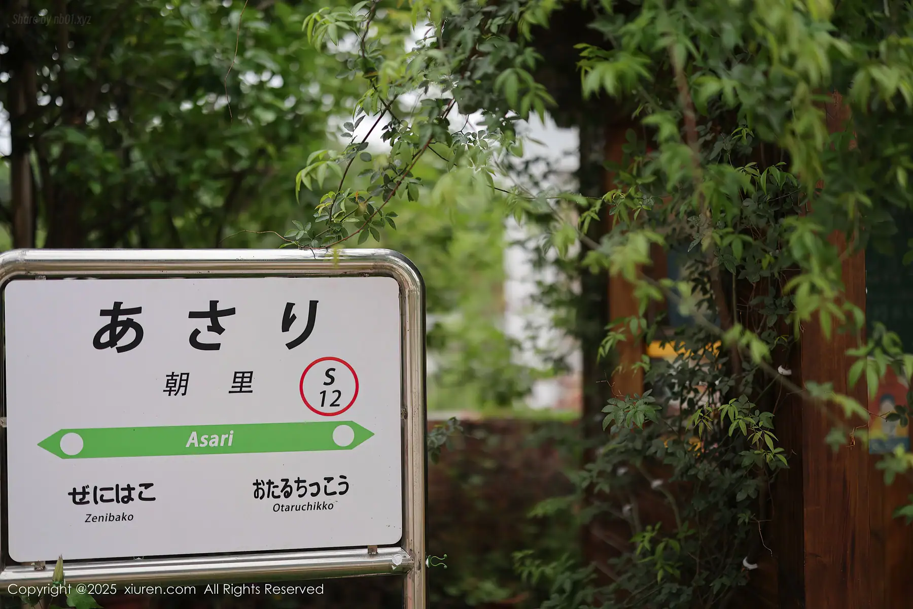 XIUREN No.10215 茂木希子(83P_92.6M) XIUREN No.10215 茂木希子(83P_92.6M)_nb01.xyz_0004 图片3