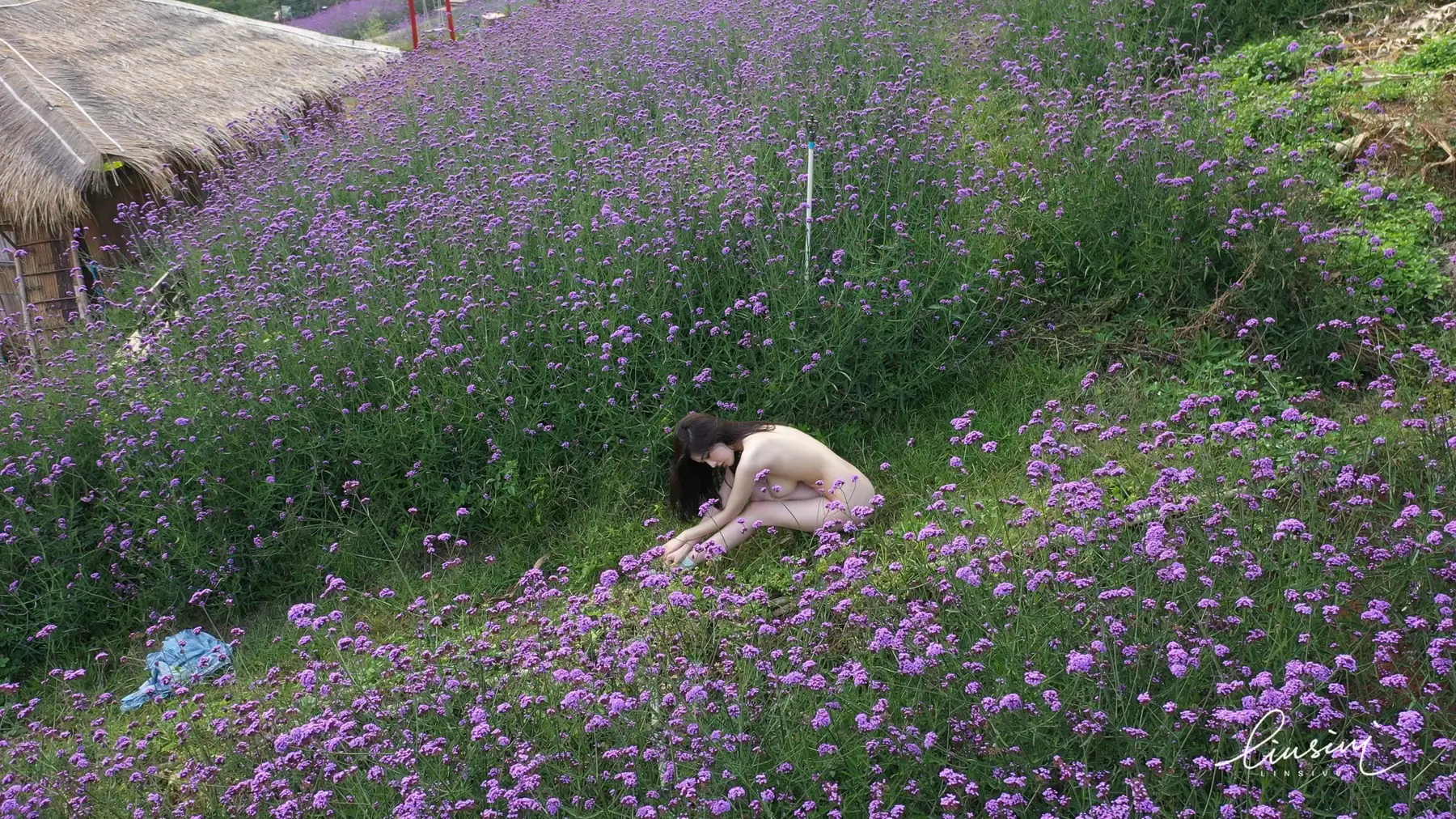 希威社 Photography - 極品妹妹未流出視圖合集 大尺度 私拍(733P+6V_1.1G) 希威社 Photography - 極品妹妹未流出視圖合集 大尺度 私拍(733P+6V_1.1G)_nb01.xyz_0267 图片3