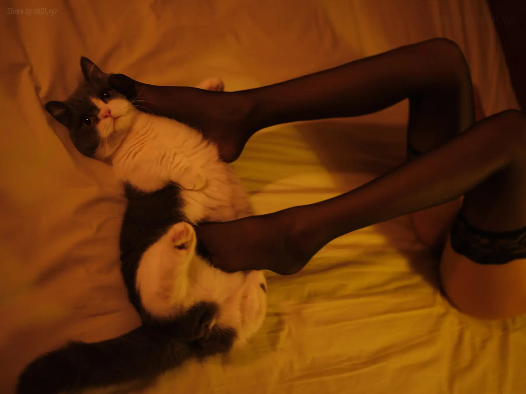 一米八的大梨子 - 复活黑(27P_17.5M) 一米八的大梨子 - 复活黑(27P_17.5M)_nb01.xyz_0001