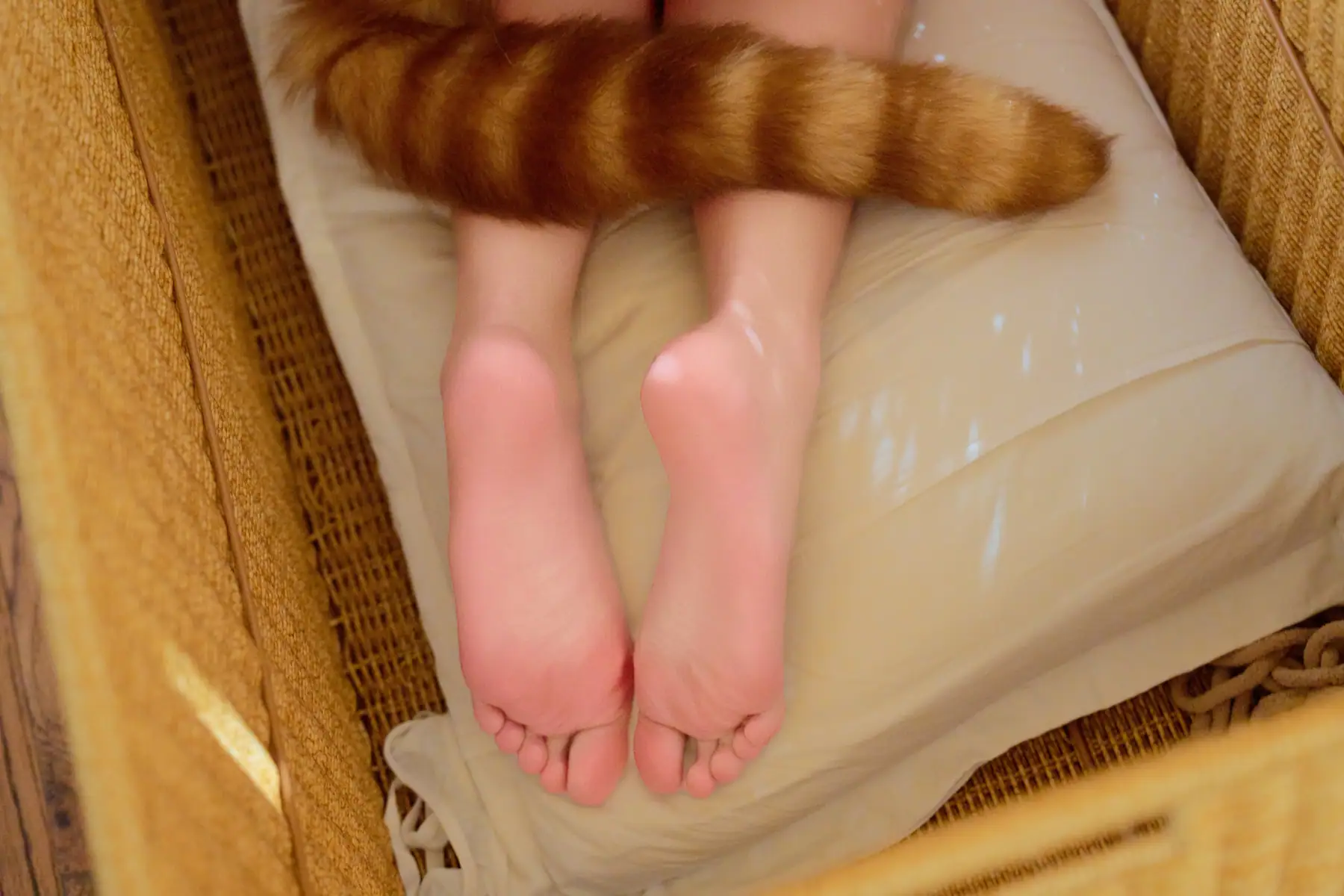 阿薰kaOri - 猫·黄豆粉(172P+3V+40Gif_1.7G) 阿薰kaOri - 猫·黄豆粉(172P+3V+40Gif_1.7G)_nb01.xyz_0130 图片7