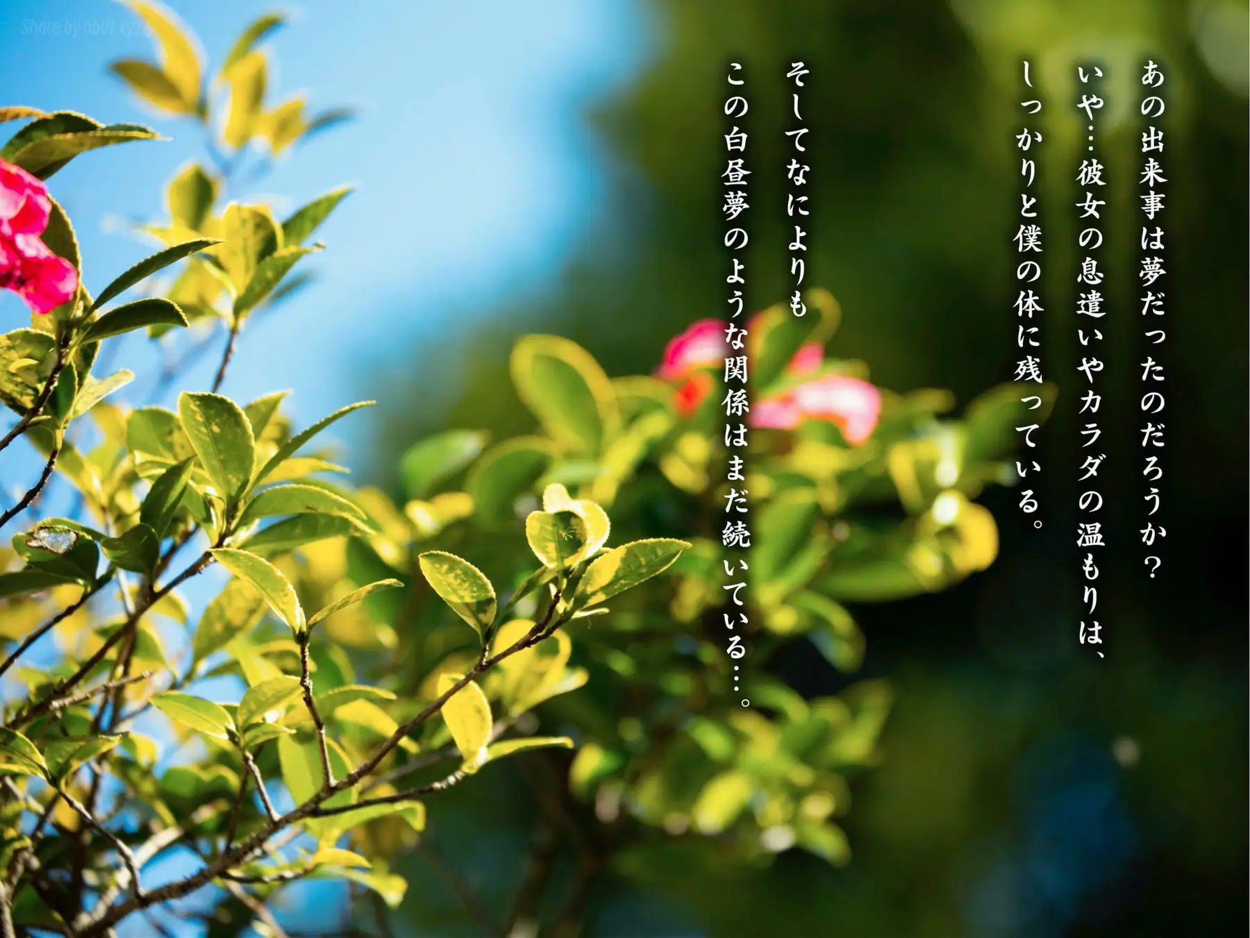 Rika Sakurada(桜田梨加) - ヌード写真集 昼下がりに咲くサクラ(57P_22.0M) Rika Sakurada(桜田梨加) - ヌード写真集 昼下がりに咲くサクラ(57P_22.0M)_nb01.xyz_0018 图片5