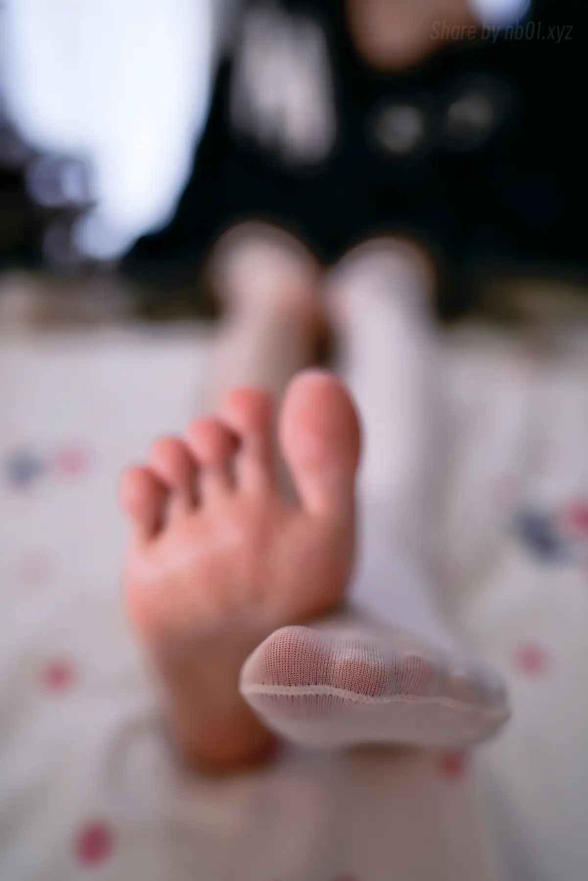 桜桃喵 - 缅因猫猫(47P_138.7M) 桜桃喵 - 缅因猫猫(47P_138.7M)_nb01.xyz_0001