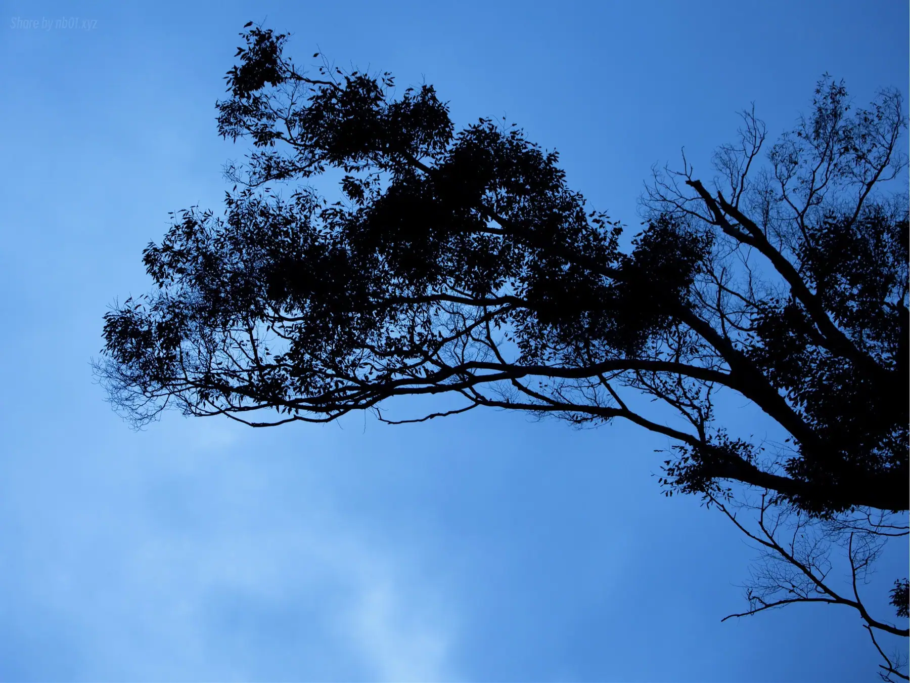 Mao Watanabe(神野藍) - 幼なじみ ヌード写真集(83P_53.8M) Mao Watanabe(神野藍) - 幼なじみ ヌード写真集(83P_53.8M)_nb01.xyz_0073 图片7