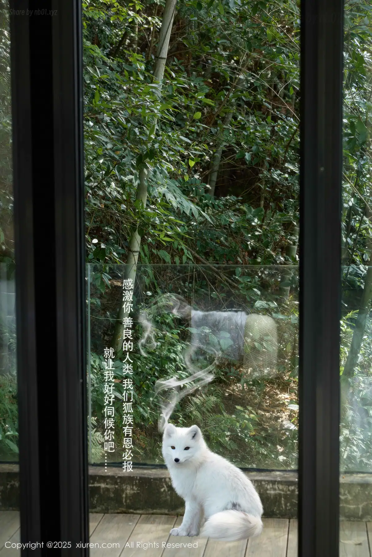 XIUREN No.11068 Yin Tian Tian(尹甜甜sunny)(56P_93.5M) XIUREN No.11068 Yin Tian Tian(尹甜甜sunny)(56P_93.5M)_nb01.xyz_0001