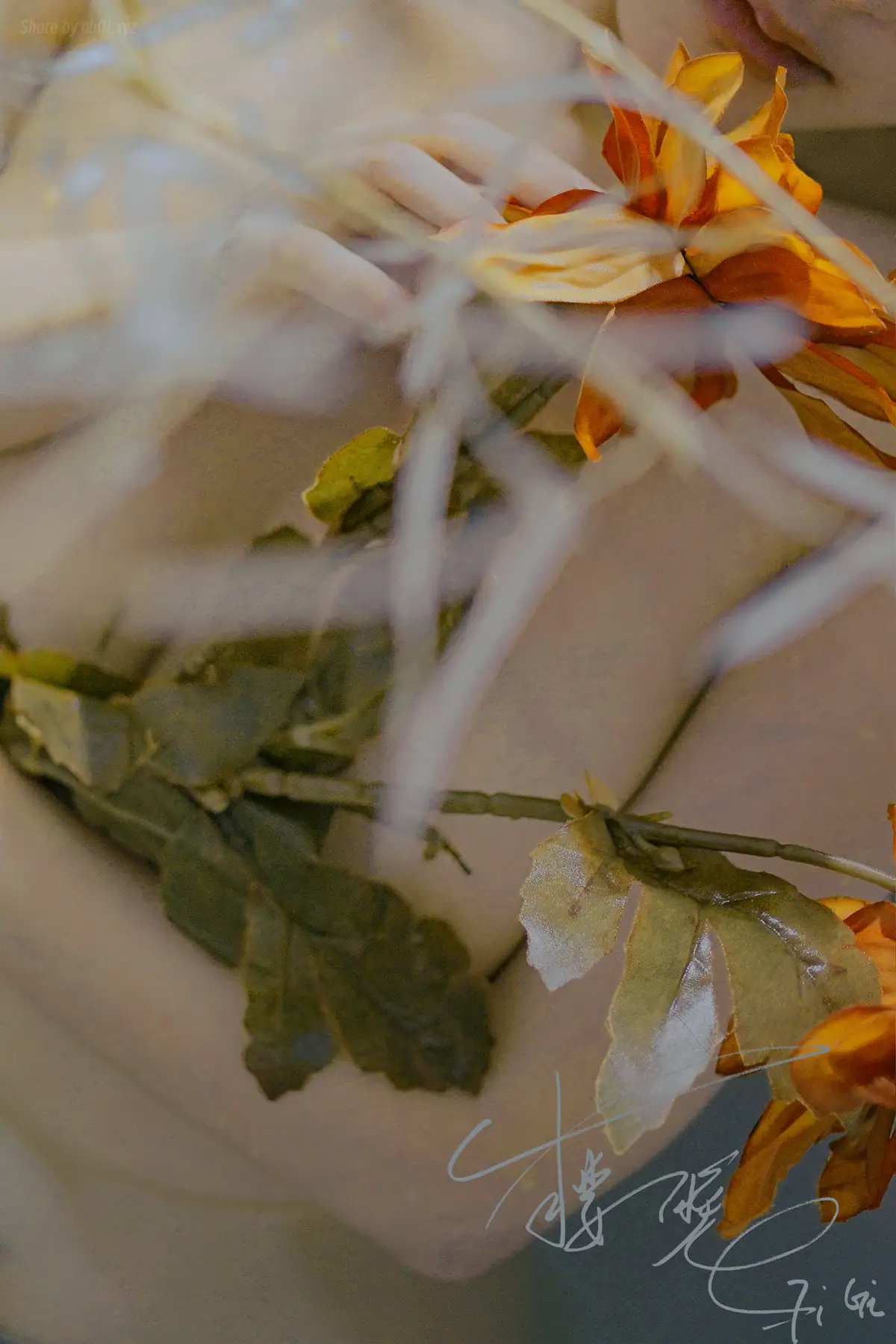 樱晚gigi - 清衣.池(25P_96.5M) 樱晚gigi - 清衣.池(25P_96.5M)_nb01.xyz_0001